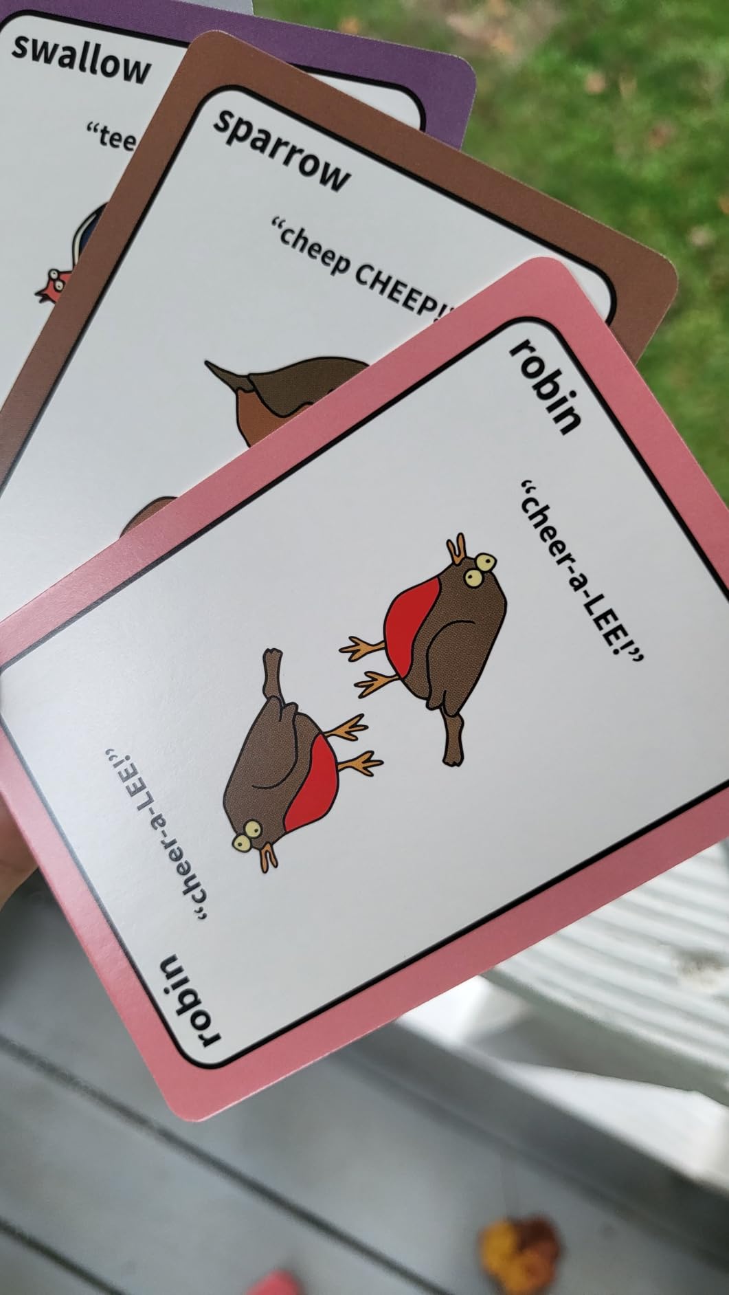 A Lively and Delightfully Absurd 5-Minute Party Game | Birding & Bird Gifts customer photo 1