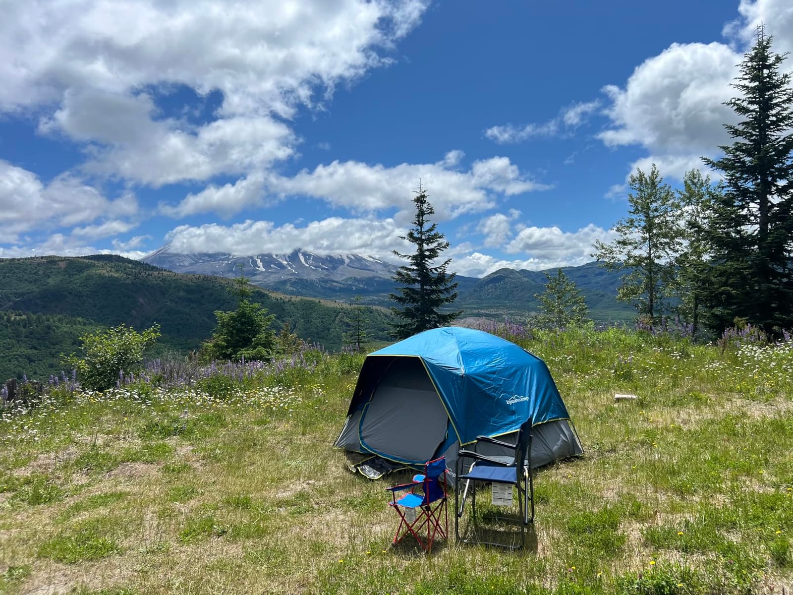 LOYEAHCAMP Tent 4/6 Person Blackout Camping Tent with Rainfly customer photo 2
