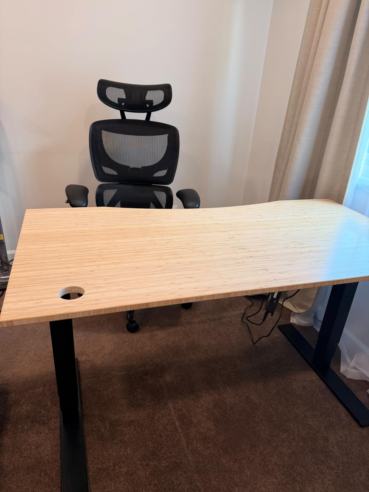 FLEXISPOT E6 MAX Dual Motor 3-Stage Electric Standing Desk, 55 x 28 customer photo 2