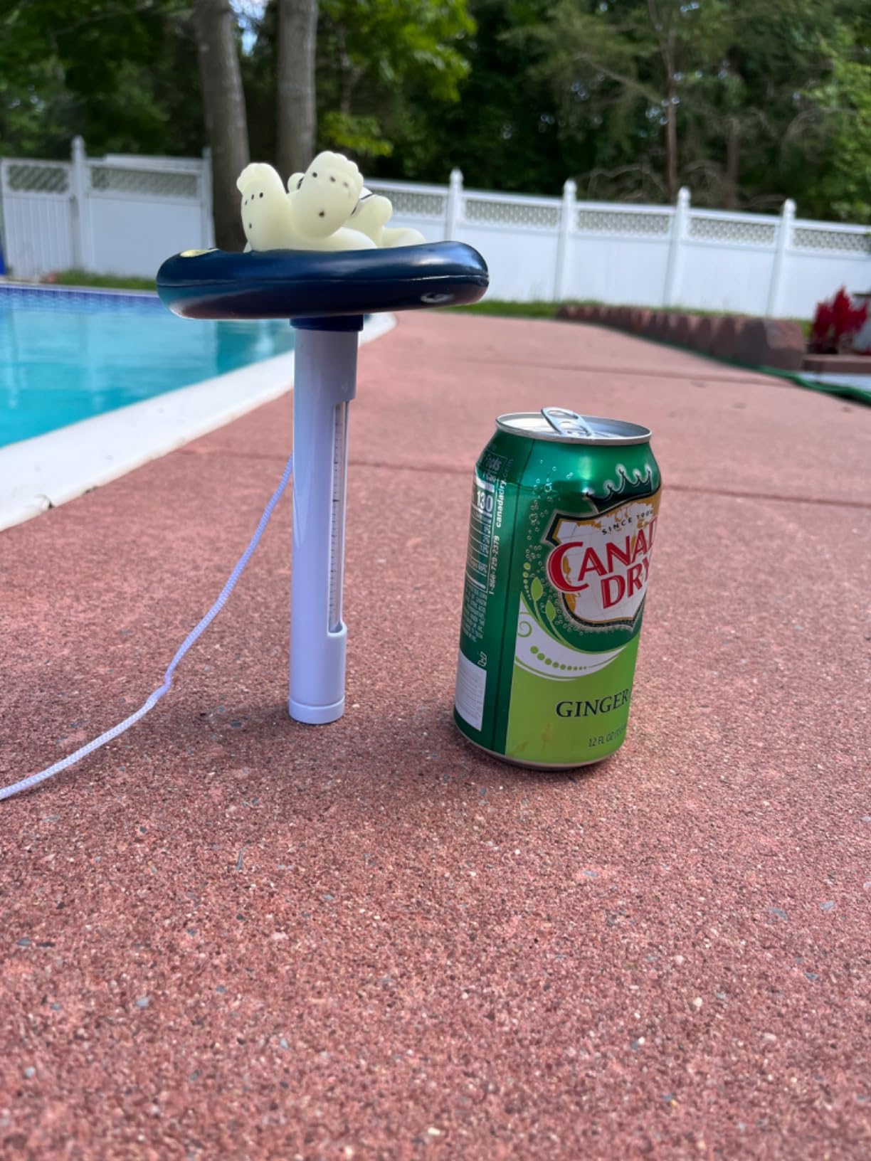 Pool Thermometer Floating Easy Read, Leisurely Polar Bear Water Thermometer for Ice Bath with String, for Outdoor & Indoor Swimming Pools, Spas, Hot Tubs & Aquariums customer photo 1