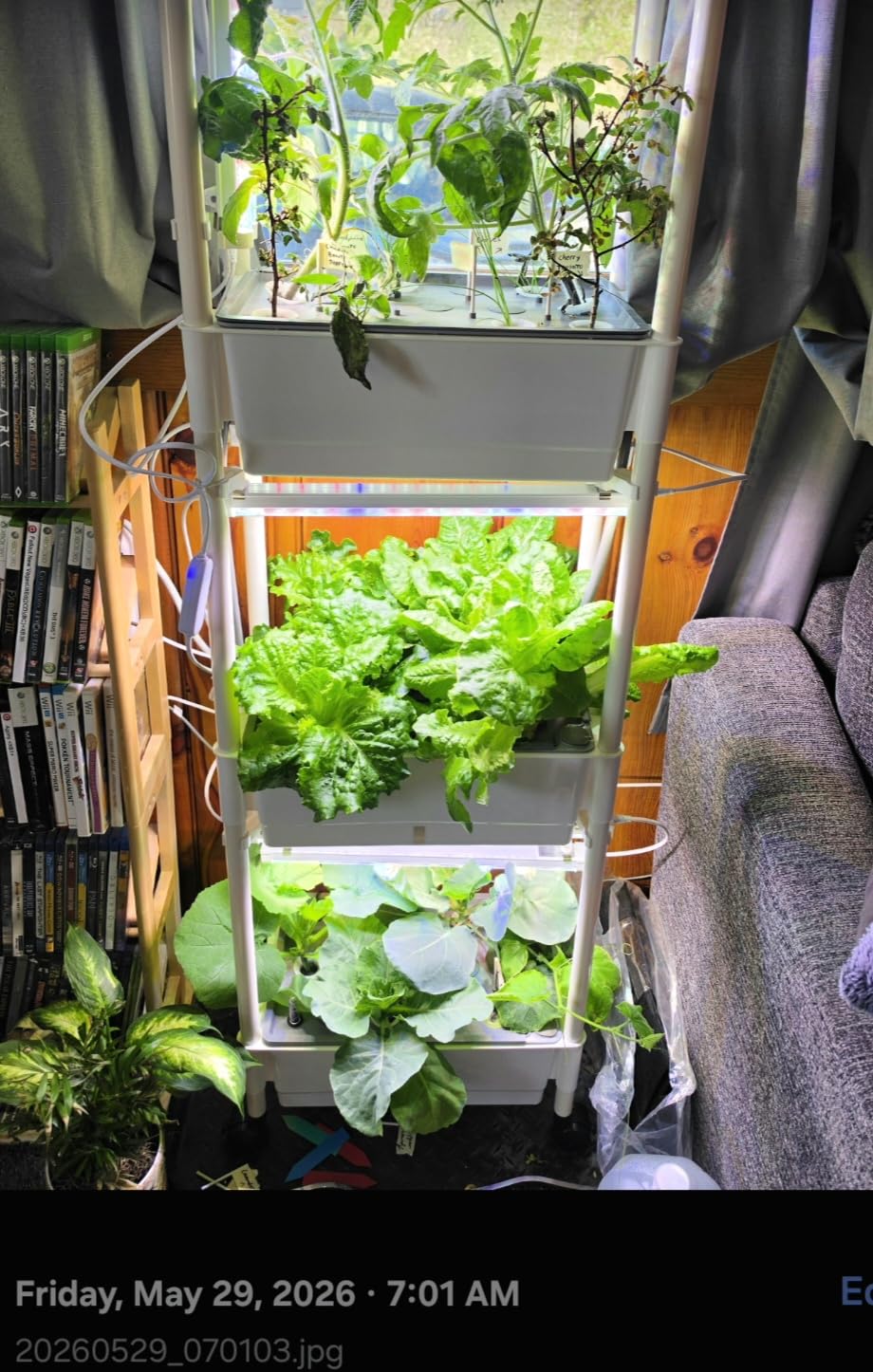 Hydroponics Growing System,AOONEG 42Pods Indoor Herb Garden with LED Grow Light,Hydroponics Growing System Kit with Automatic Timer,Pump System,Adjustable Height (No Seed,Glossy White, 3Layer-42Pods) customer photo 2