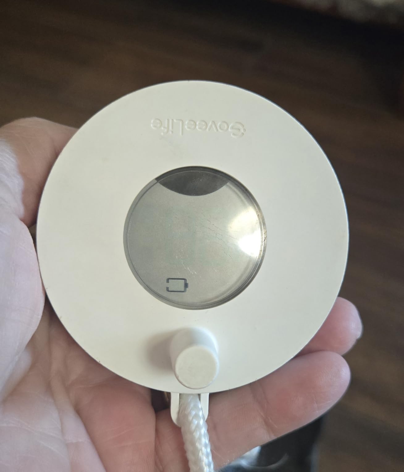 GoveeLife WiFi Pool Thermometer P1 Wireless, Water Thermometer customer photo 2
