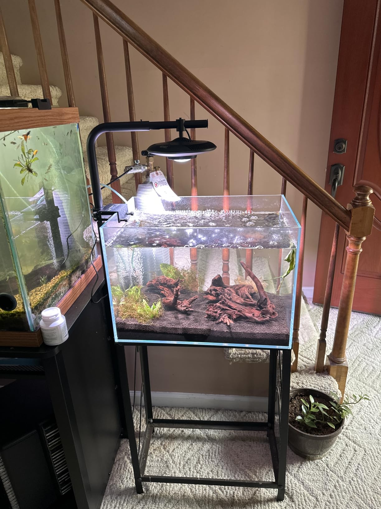 LYPHARD AQUARIUMS 2.5 Gallon Rimless Aquarium Tank, Ultra Clear Low Iron Nano Fish Tank for Betta Shrimp, L11.8×W5.5×H9.8 Glass Thickness 5mm with EVA Foam Leveling Mat customer photo 1