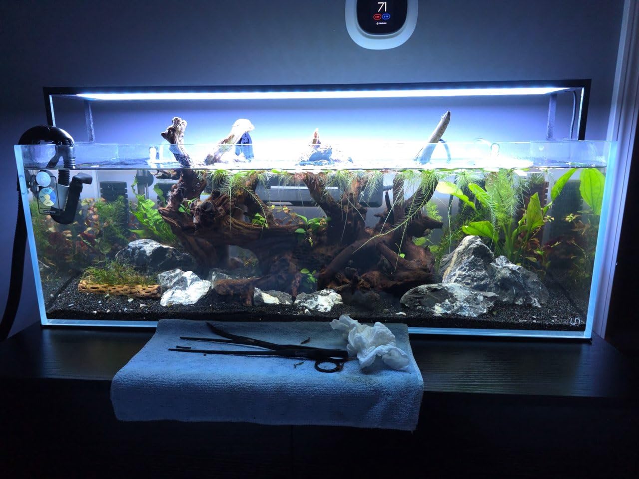 UNS Ultra Clear Rimless Tank - 0.5GAL | 2L - 6.29x6.29x3.14 | 16x16x8 CM, 5mm Glass Thickness, Leveling Mat Included - Low Iron, High Clarity Fish Tank w/ 45° Mitered Edge - [16S] customer photo 1