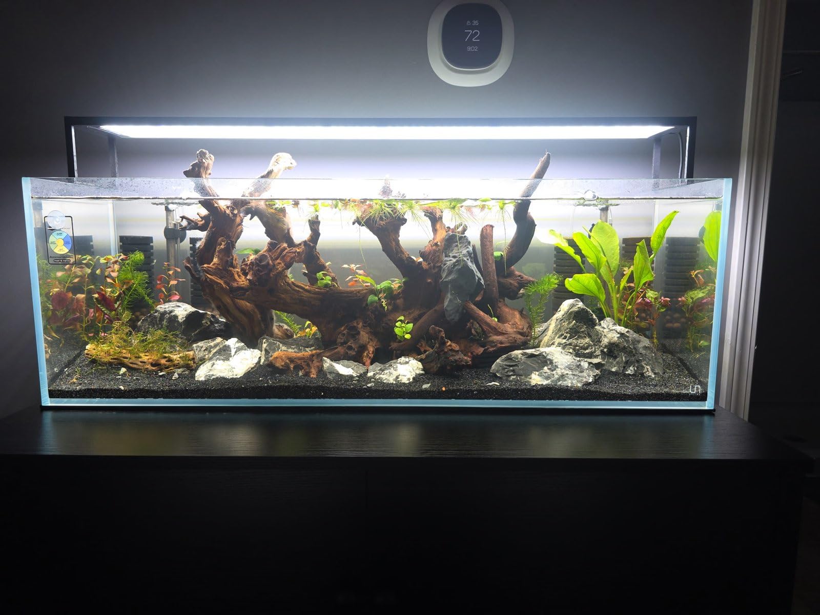 UNS Ultra Clear Rimless Tank - 0.5GAL | 2L - 6.29x6.29x3.14 | 16x16x8 CM, 5mm Glass Thickness, Leveling Mat Included - Low Iron, High Clarity Fish Tank w/ 45° Mitered Edge - [16S] customer photo 2