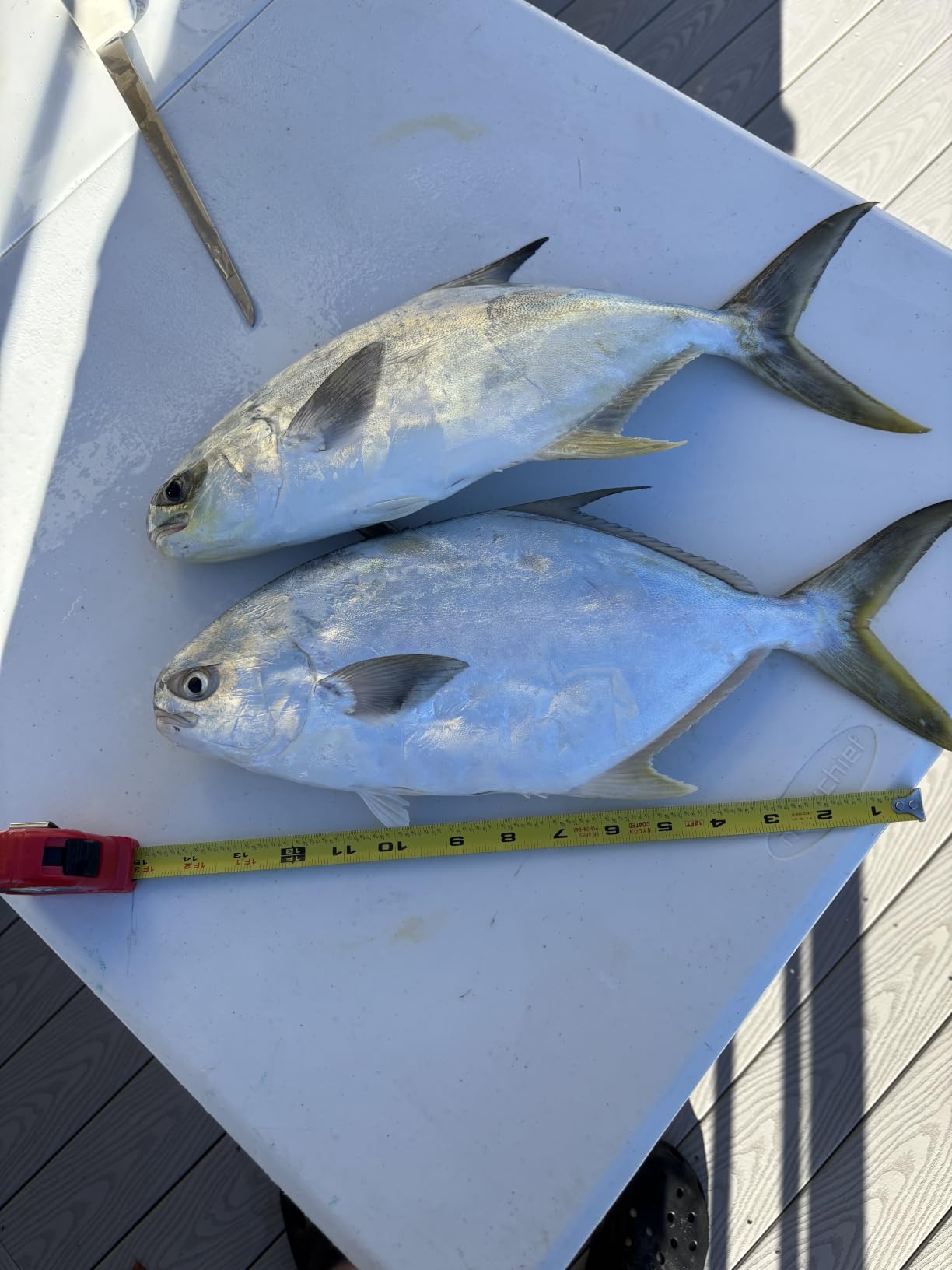 Pompano Rig Saltwater Surf Fishing Rigs – Double Drop Leader Rigs with Hooks, Floats, Beads & Snap – Easy Pre-Tied Terminal Tackle for Pompano, Whiting, Redfish customer photo 1