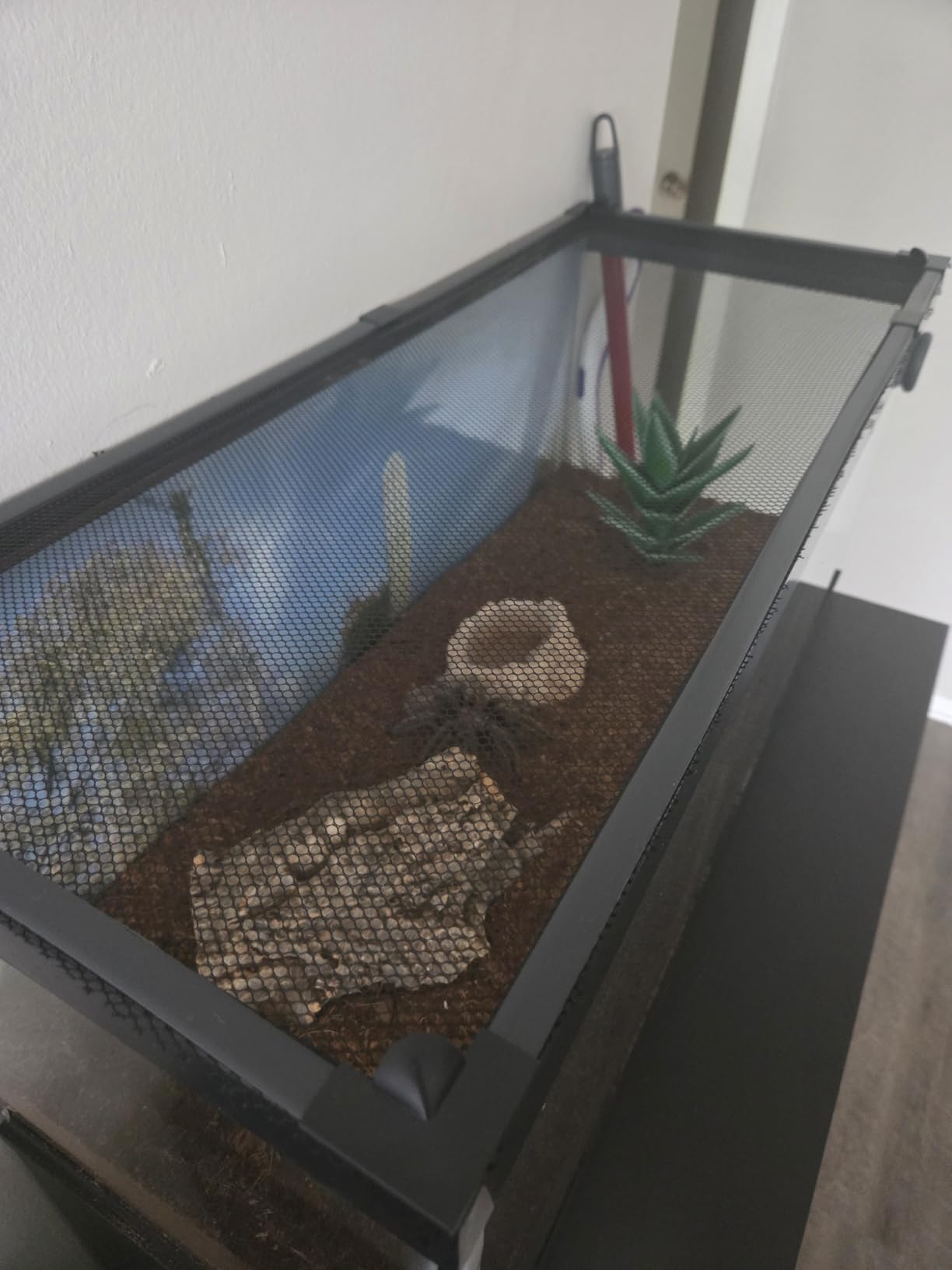 Magnetic Aquarium Cover Lid, DIY Fish Tank lid Anti-Jumping net Cover mesh Terrarium lid Aquarium Hood,Adjustable Size Fit Tank Size Max 35''X19'' customer photo 1
