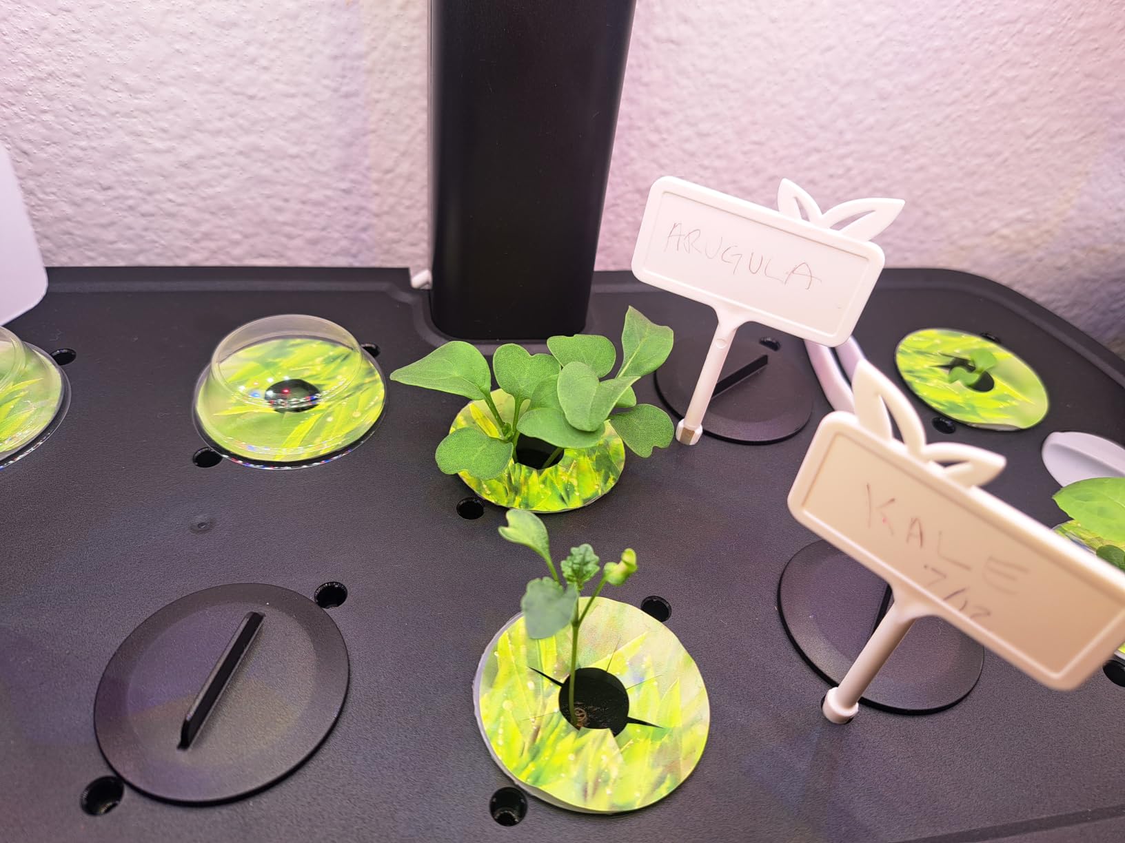 LetPot LPH-Air Hydroponics Growing System Kits, APP & WiFi Controlled Smart Indoor Garden with Adjustable 24W Grow Light Full Spectrum, 10 Pods Planter Indoor Gardening for Gifts, Kitchen, Vegetable customer photo 2