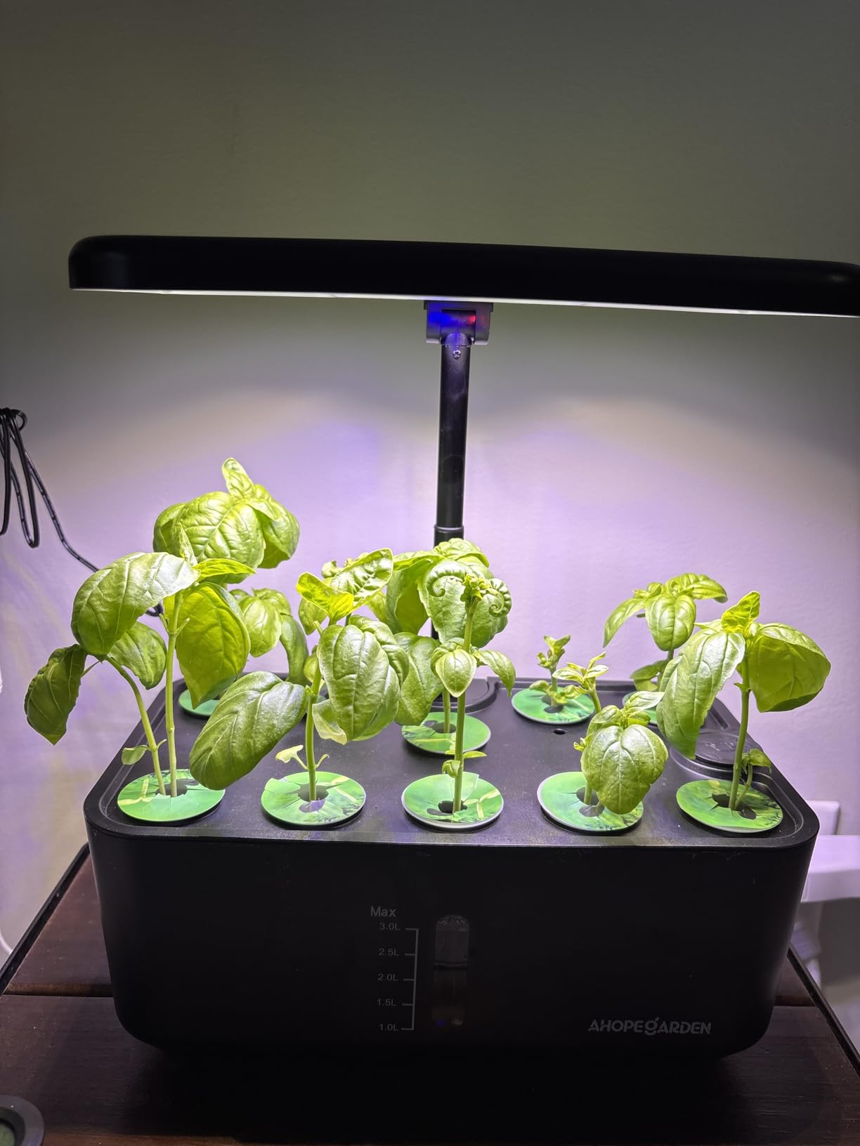 Ahopegarden Hydroponics Growing System Kit: 12 Pods Temp & Humidity Monitor customer photo 2