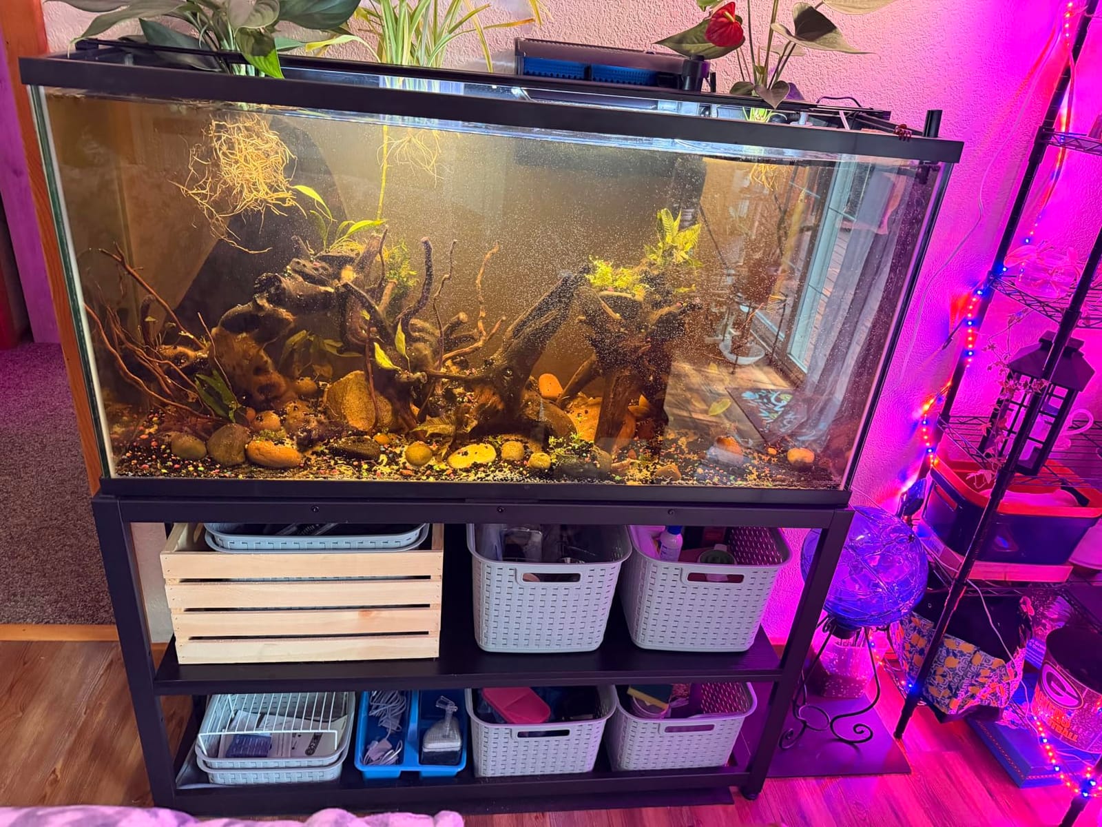 VOWNER 55-75 Gallon Fish Tank Stand, Metal Aquarium Stand, Black customer photo 2