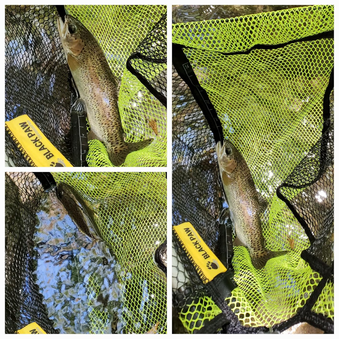 SF Shadow Walker Ⅰ Euro Nymph Rod European Nymphing Fly Fishing Fly Rod 2wt 3wt 10FT Shadow Yellow 24T Carbon Fiber with Durable Rod Tube, Medium Fast Action Fly Rod 4 Pieces customer photo 1