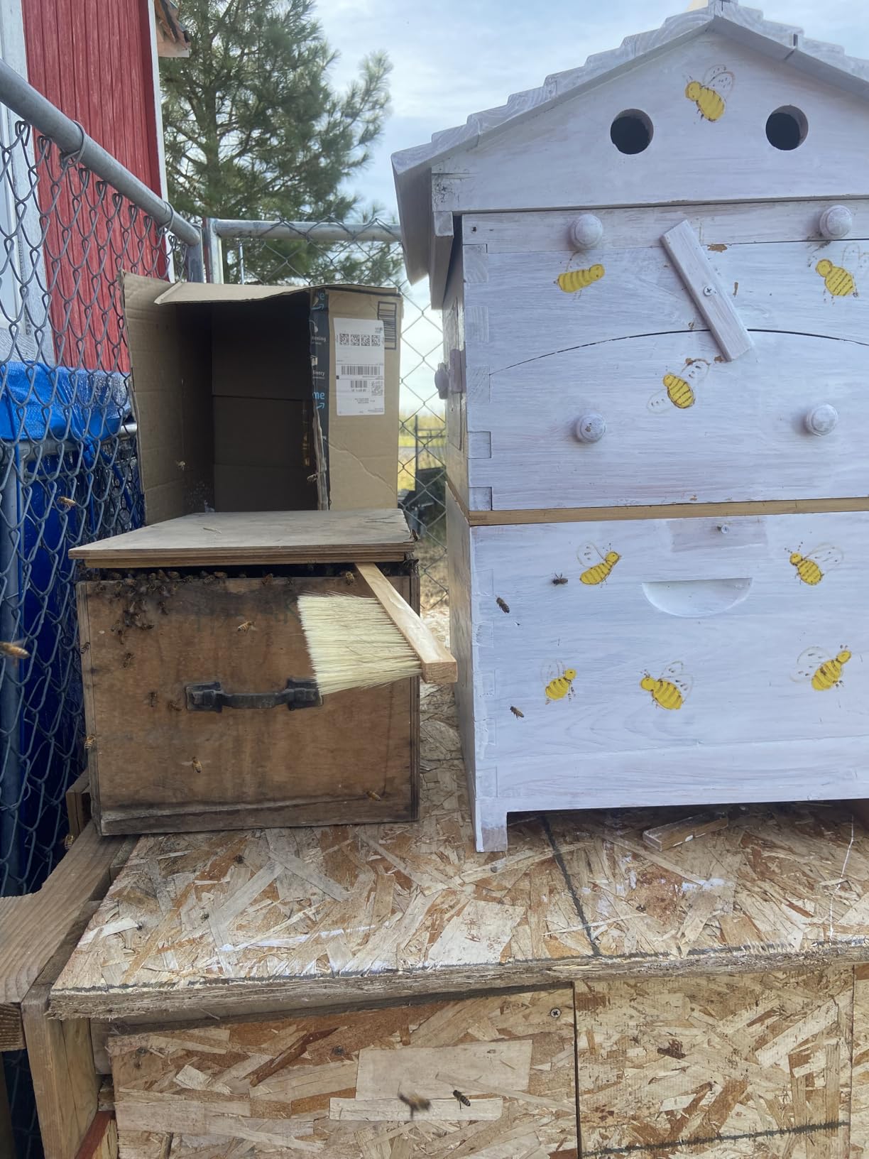 30 Pcs Beekeeping Starter Kit Bees Keeper Starting Kit All Bee Suit Gloves Hive Boxes Storage Bag Beekeeper Supplies Tools for Beekeepers Men Women(XL) customer photo 2