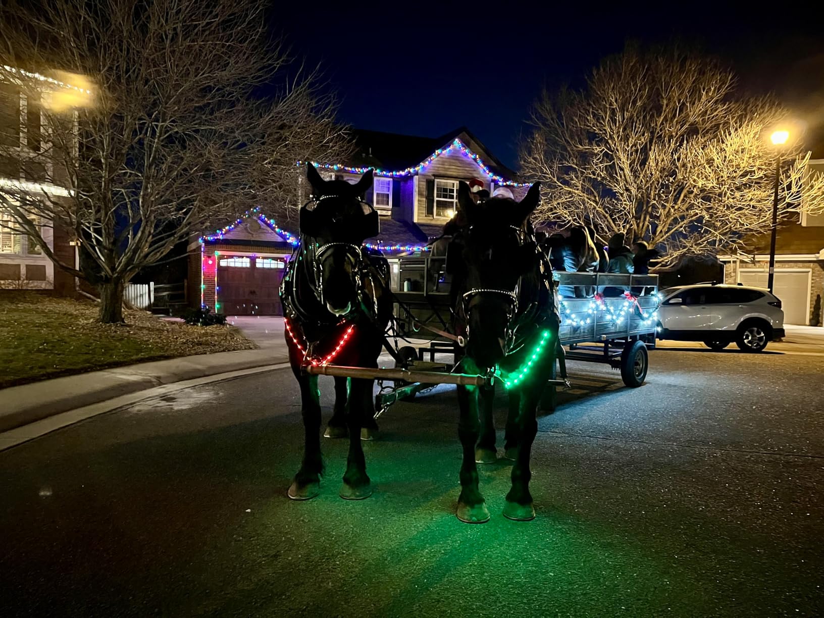 LED Horse Breastplate Collar - 7 Colors in 1 Light Up Horse Tack, USB Rechargeable - Added Visibility & Safety for Night Riding customer photo 1