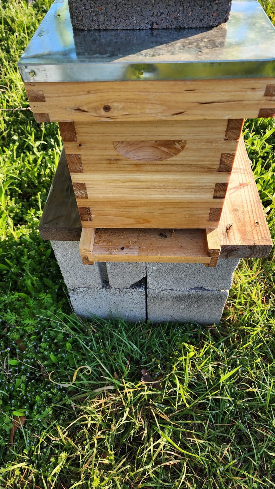 5 Frame Nuc Complete Bee Hive Kit Langstroth Beehive Box Dipped in Beeswax Include Beehive Frames and Waxed Foundation Sheets customer photo 1