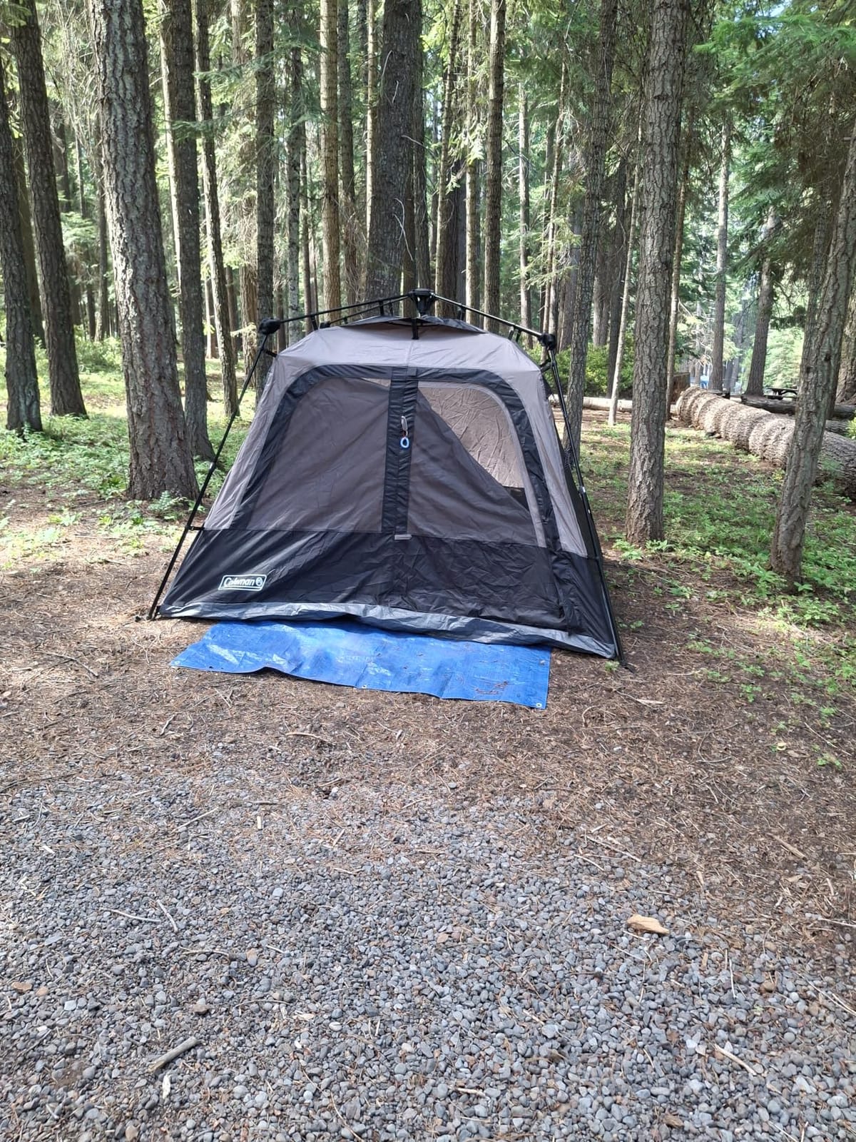 Coleman 4/6/8/10 Person Instant Camping Tent with 1-Minute Setup customer photo 2