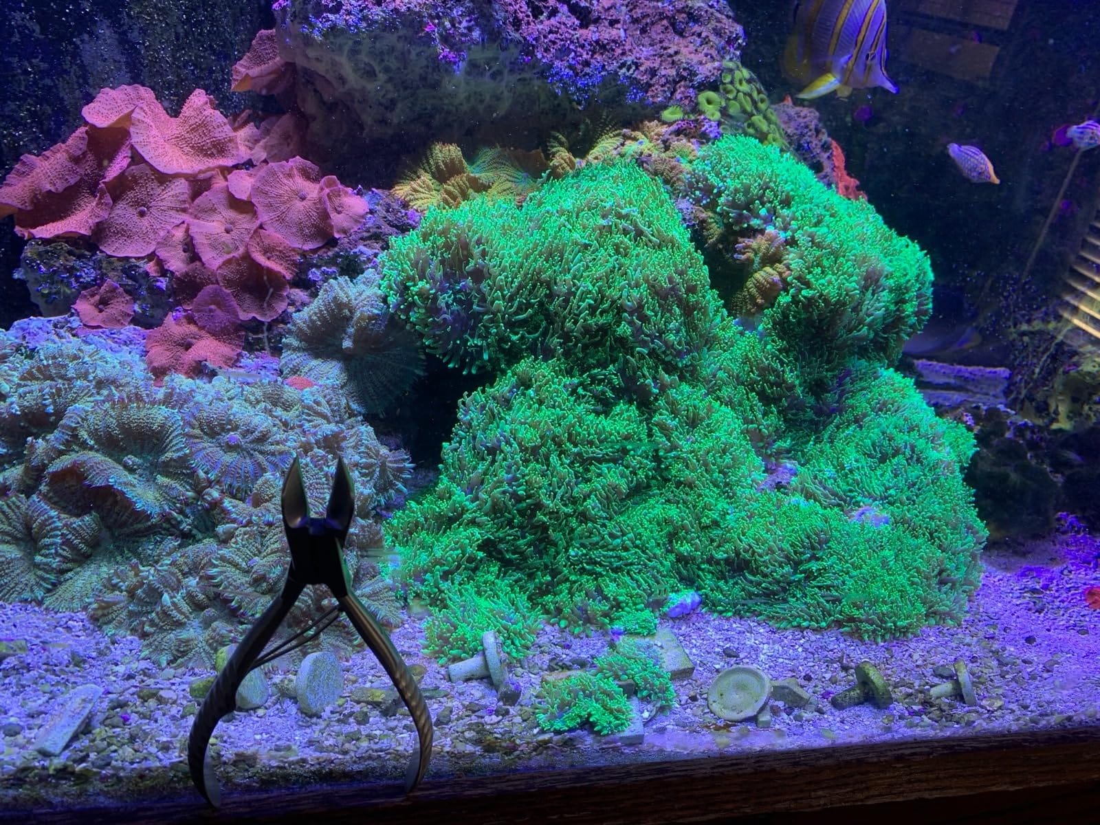 6.25