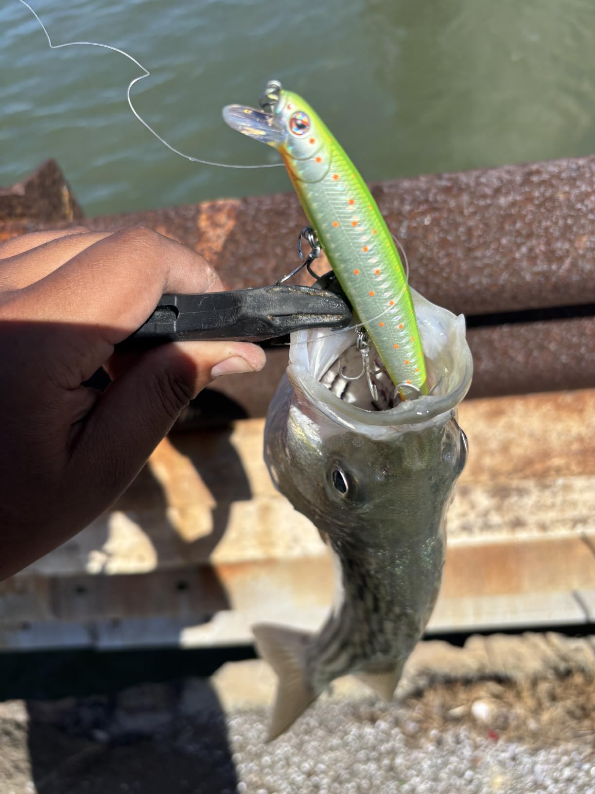 LITTMA California Surf Fishing Lures Saltwater Jerkbait Crankbait Surf Minnow 110/125 - Metallic Sardine Super Glow & Pearl Pink Belly Glow Lures for Halibut & Striper Fishing customer photo 1