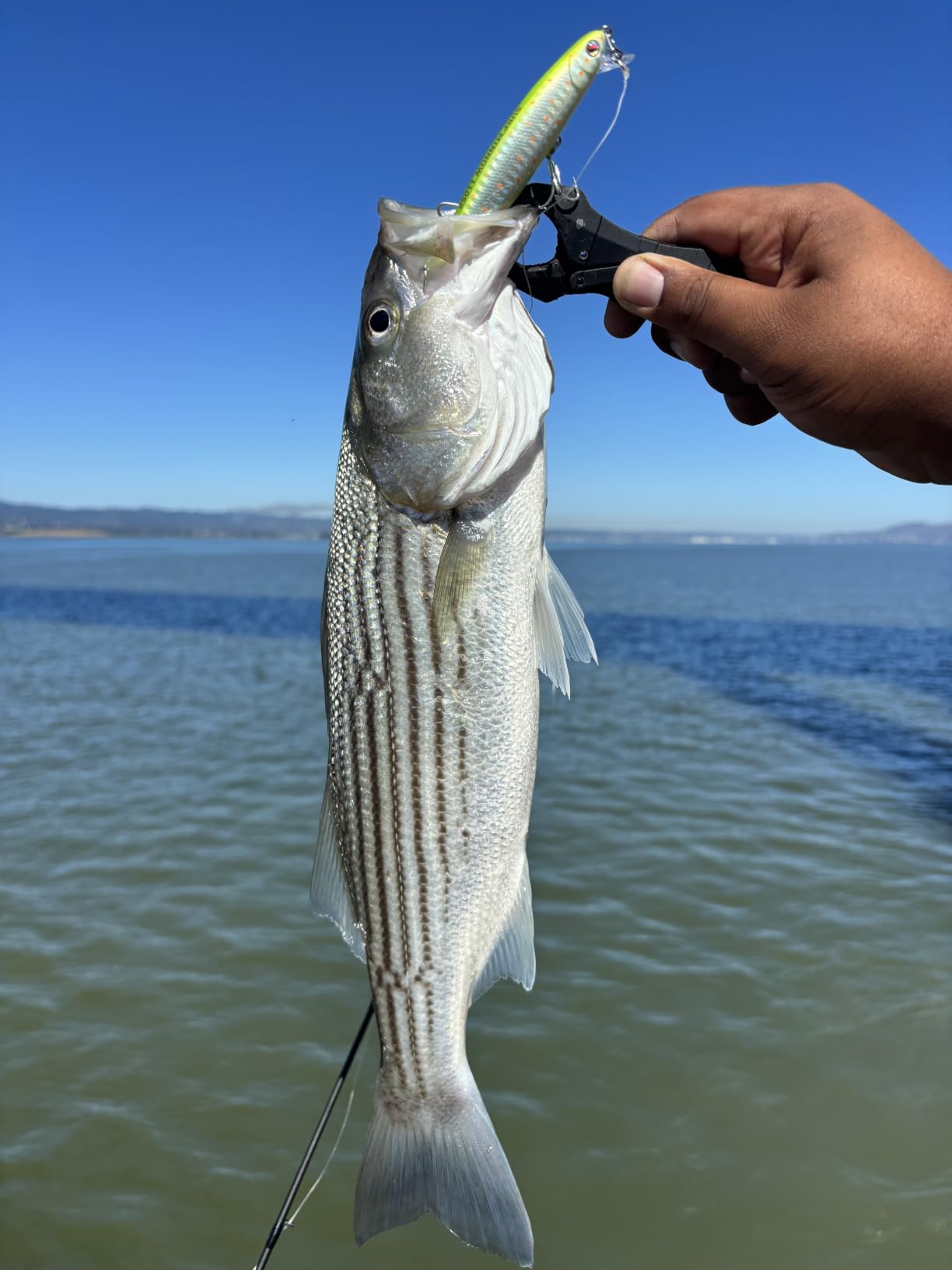 LITTMA California Surf Fishing Lures Saltwater Jerkbait Crankbait Surf Minnow 110/125 - Metallic Sardine Super Glow & Pearl Pink Belly Glow Lures for Halibut & Striper Fishing customer photo 2