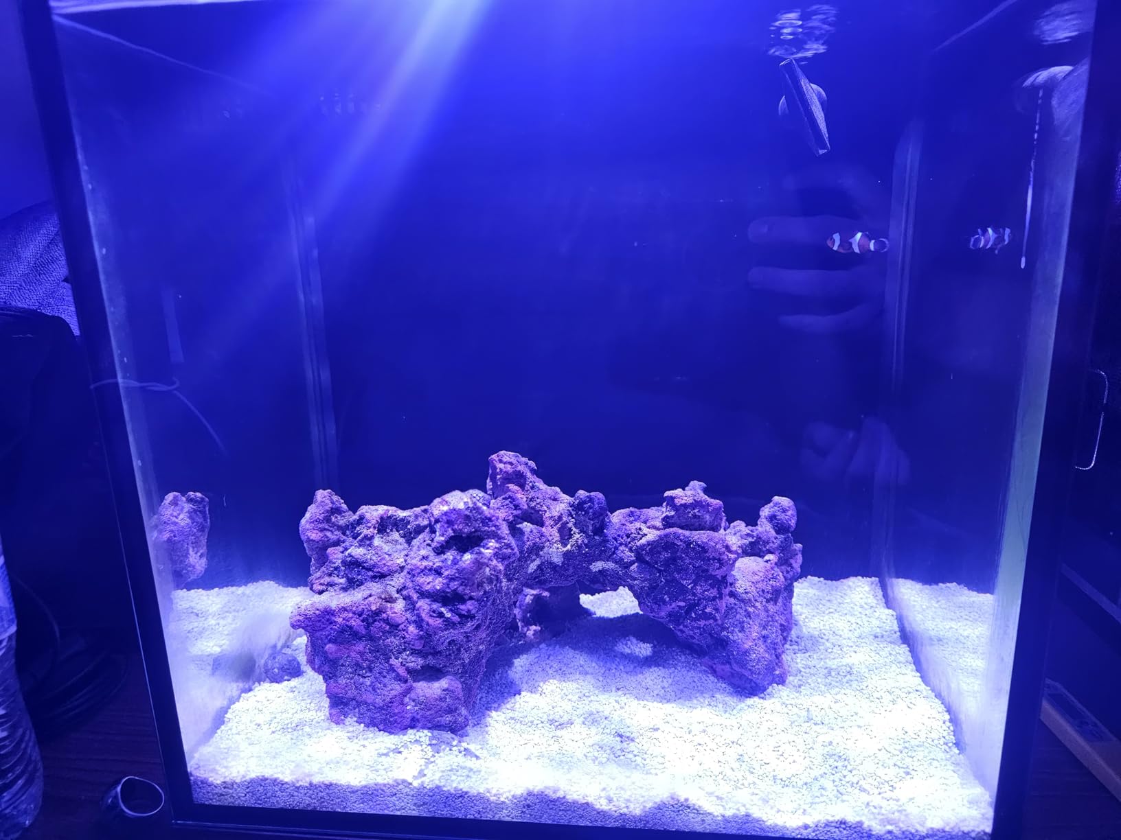 Innovative Marine Starter Kit Aquariums (25 Gallon Lagoon) customer photo 1