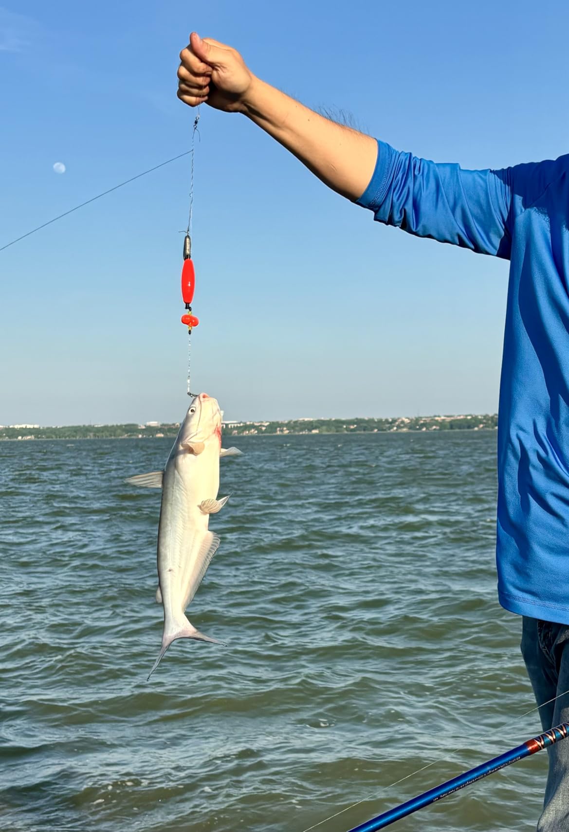 Dovesun Catfish Rig Santee Cooper Rig Catfish Takedown Rig for Bank Fishing customer photo 2