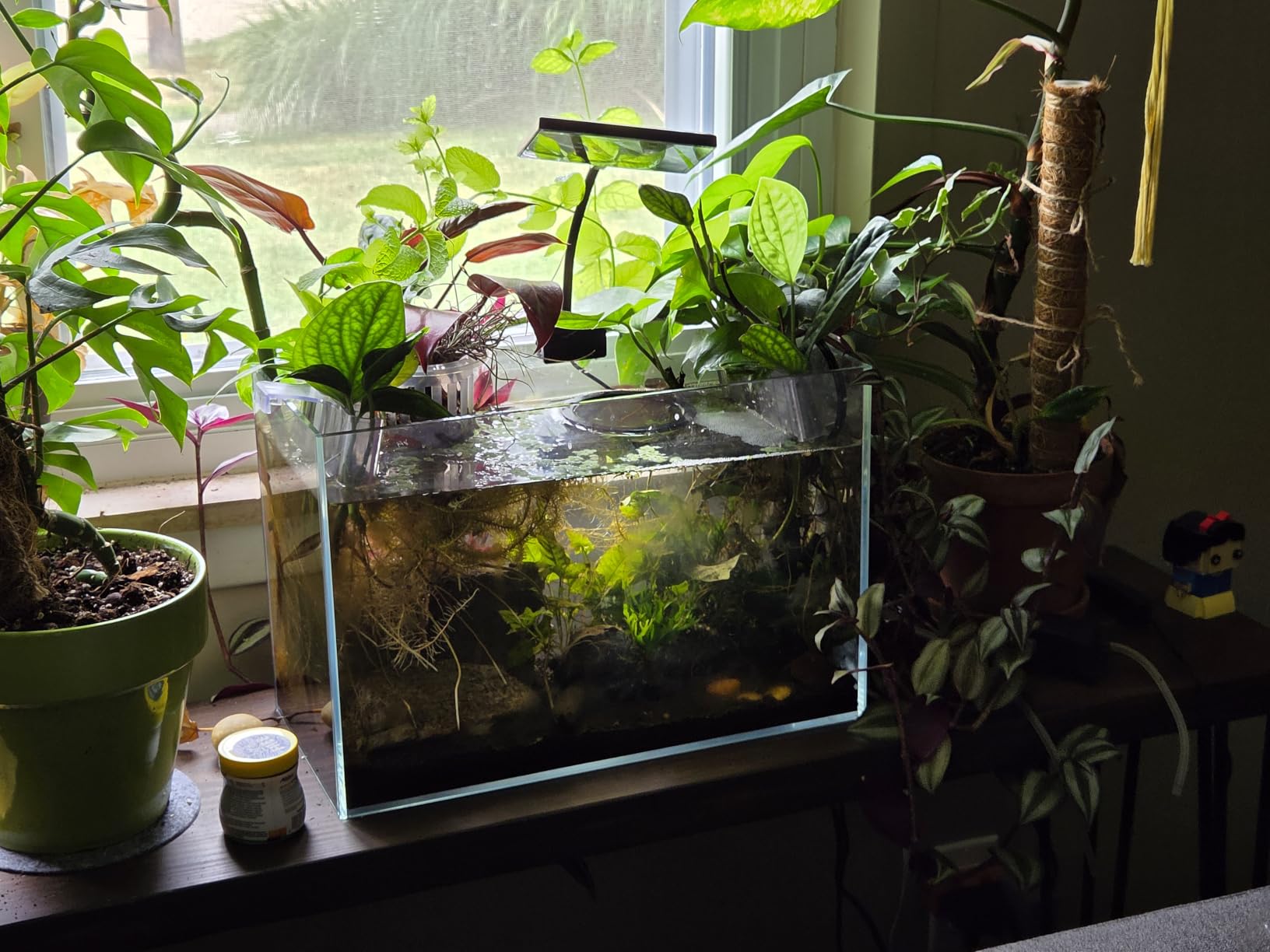 2PC 7 Holes Upgraded Aquarium Plant Holder, Aquatic Plants Cup for Tank customer photo 1