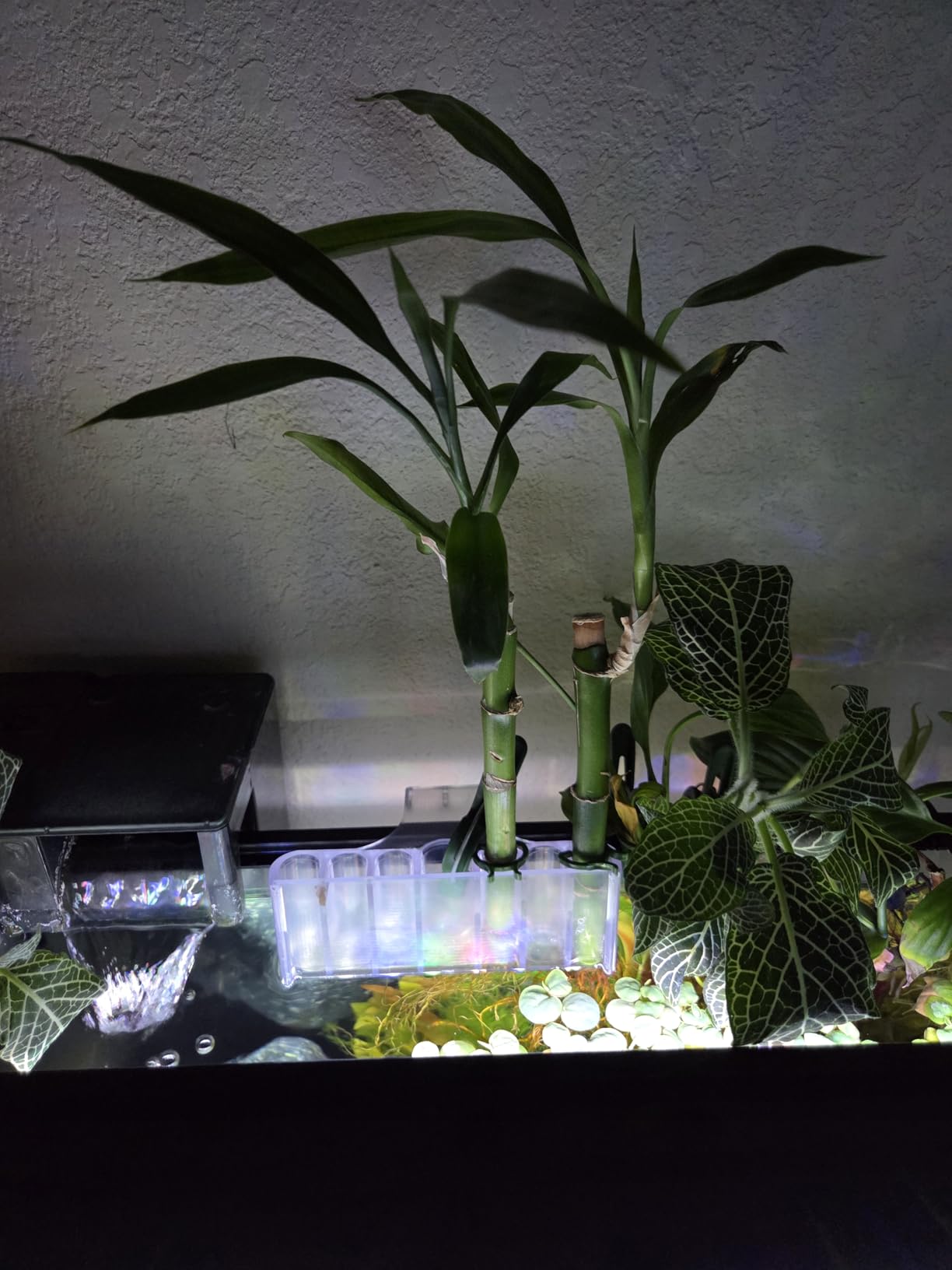 2PC 7 Holes Upgraded Aquarium Plant Holder, Aquatic Plants Cup for Tank customer photo 2