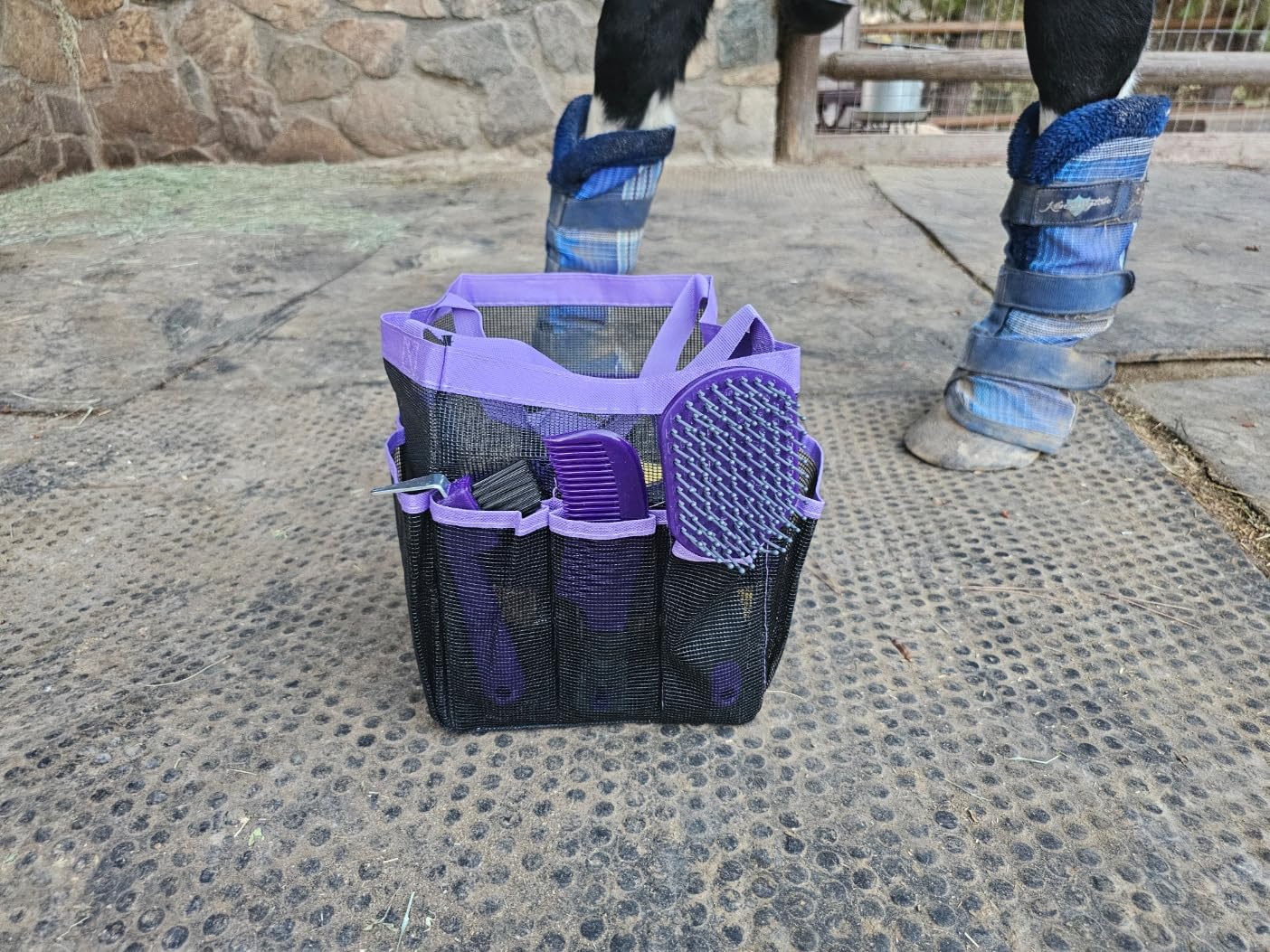 Horse Grooming Kit - 11 Piece Bathing Supplies with Organize Bag, Full Body Kit Including Sweat Scraper, Bath Sponge, Hoof Pick, Massage Comb (Purple) customer photo 2