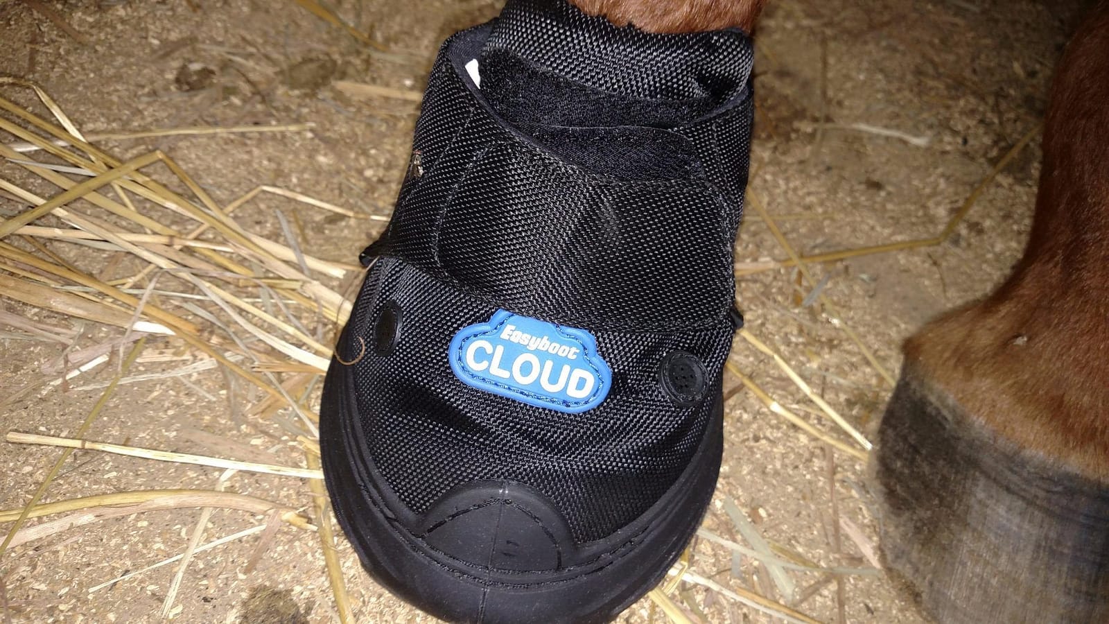 Easyboot Cloud (3) customer photo 1