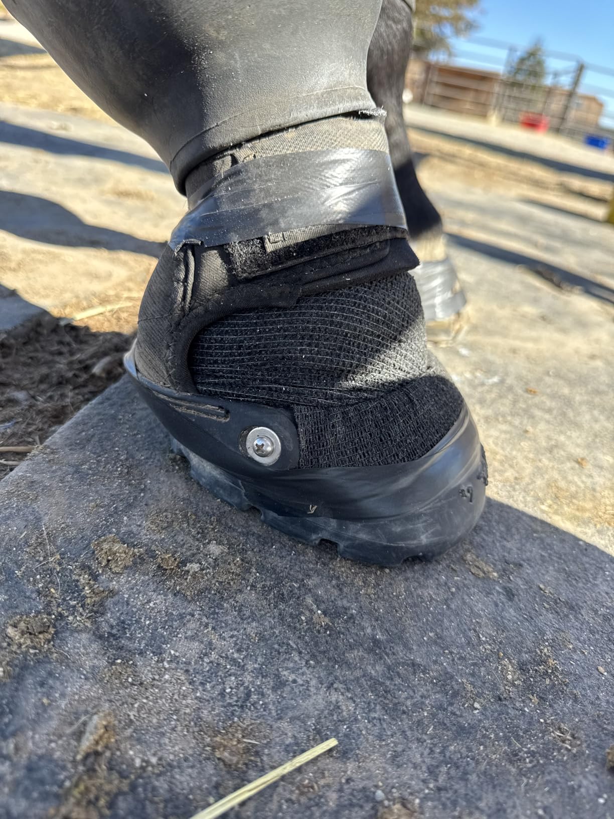 Easyboot Glove Soft Hoof Boot for Horses, Neoprene, Elastic Gaiter, All-Terrain Tread (2) customer photo 2
