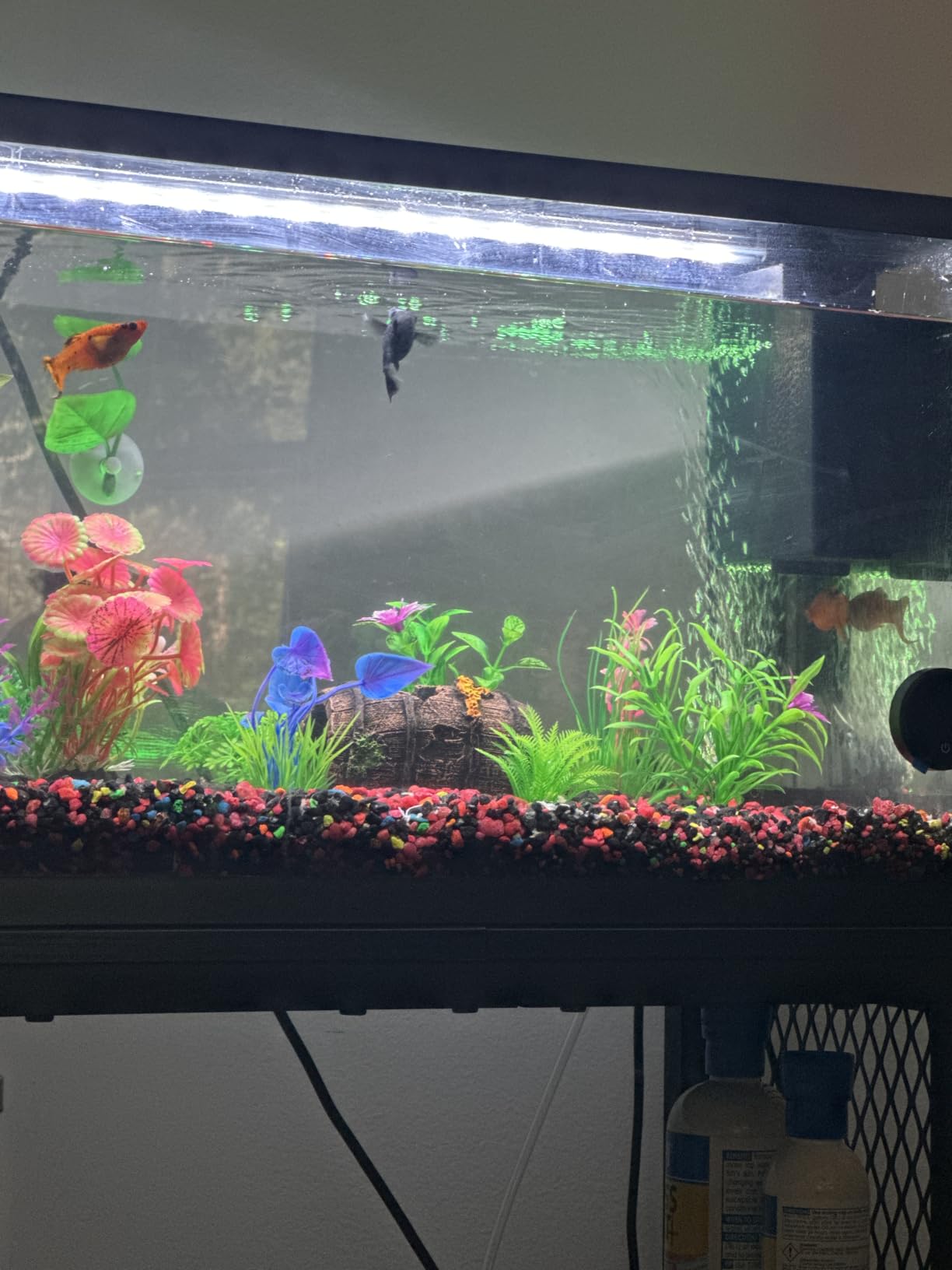 CousDUoBe Fish Broken Barrel Decor Fish Tank Decorations Betta Fish Tank Accessories,Starfish Barrel x 1pc, Aquarium Plants x 8pcs customer photo 1