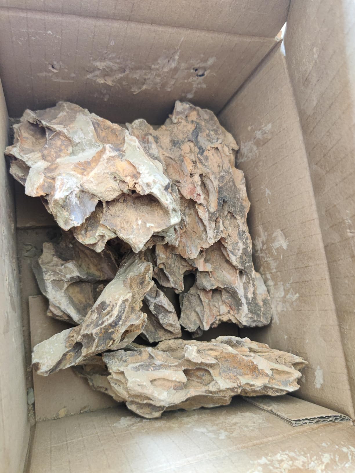 Aquarium Rocks Seiryu Stones Natural Hardscape Stone for Aquariums, Fish Tanks, Bonsai, Terrariums, Wargaming Dioramas, Indoor or Outdoor Gardens-5lb(2-6 Inch) customer photo 2