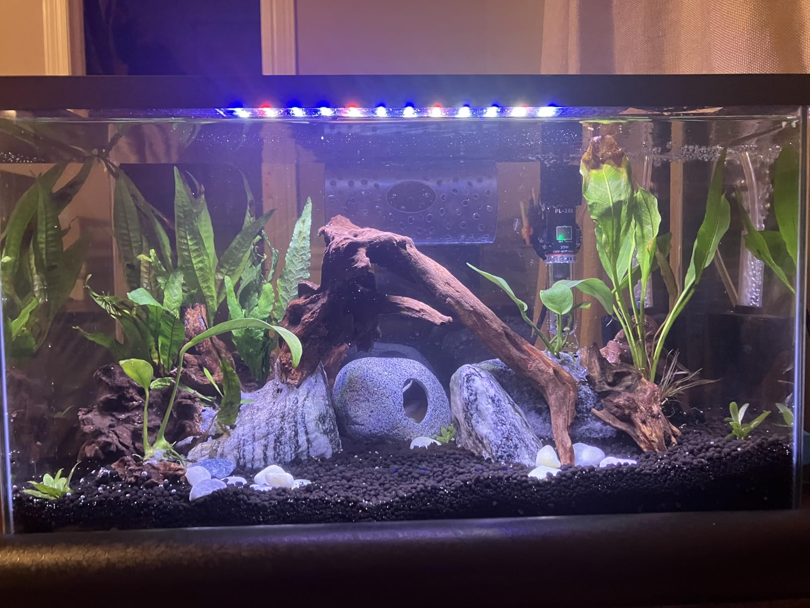 Aquarium Rocks Silver Seiryu Rock 5lb Natural Stone for Fish Tanks, Terrariums, Bonsai, Garden Decoration, Micro Landscapes & Reptile Terrariums(2-5inch 4-5Pcs) customer photo 1