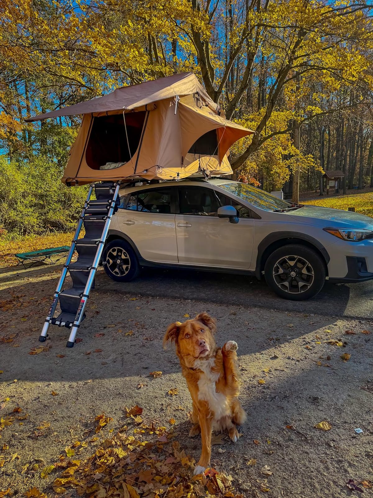 VEVOR Rooftop Tent Hard Shell, 2-3 Person Roof Top Tent for Car SUV Truck Jeep Van Camping with Telescopic Ladder, Thick Mattress & LED Light customer photo 2