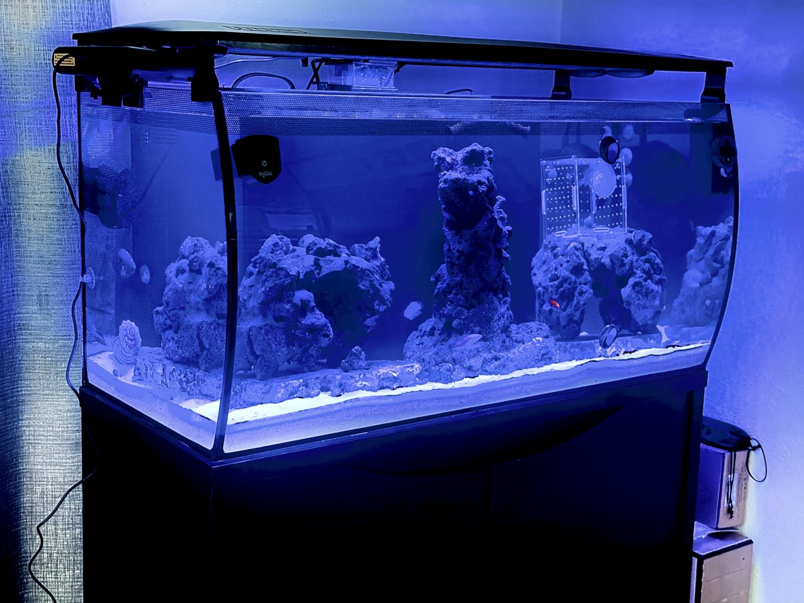 PAIZOO Aquarium Chiller Fan, Ultra-Quiet Fish Tank Cooler with 3 Speed Mode | Effective Cooling 3-7℉, Max Wind Speed 10ft/s, Fish Tank Cooling Fan for Axolotl Tank Accessories Freshwater Saltwater Tanks customer photo 2