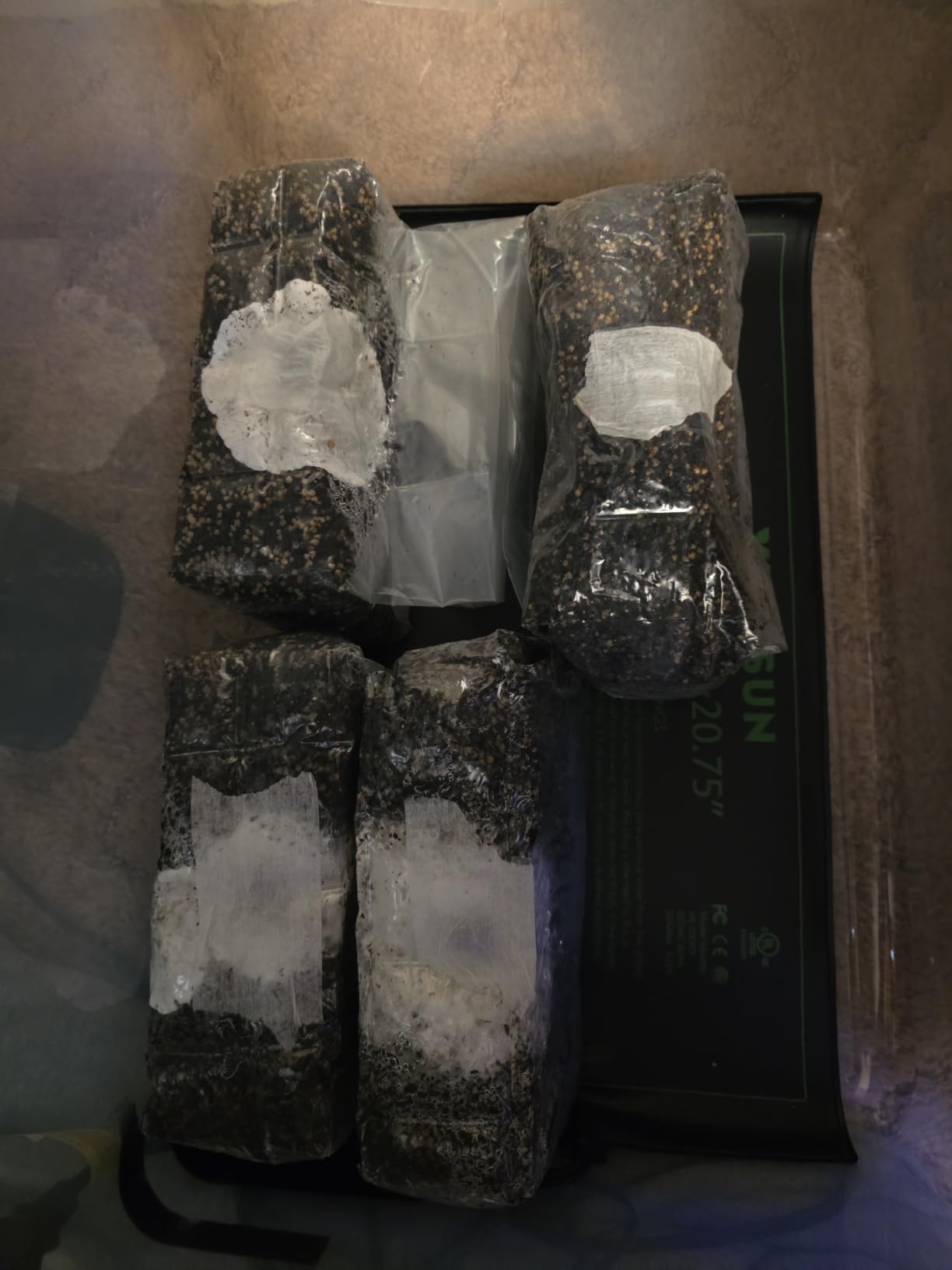 North Spore ShroomTek All-in-One Mushroom Grow Bag, 4lb customer photo 1
