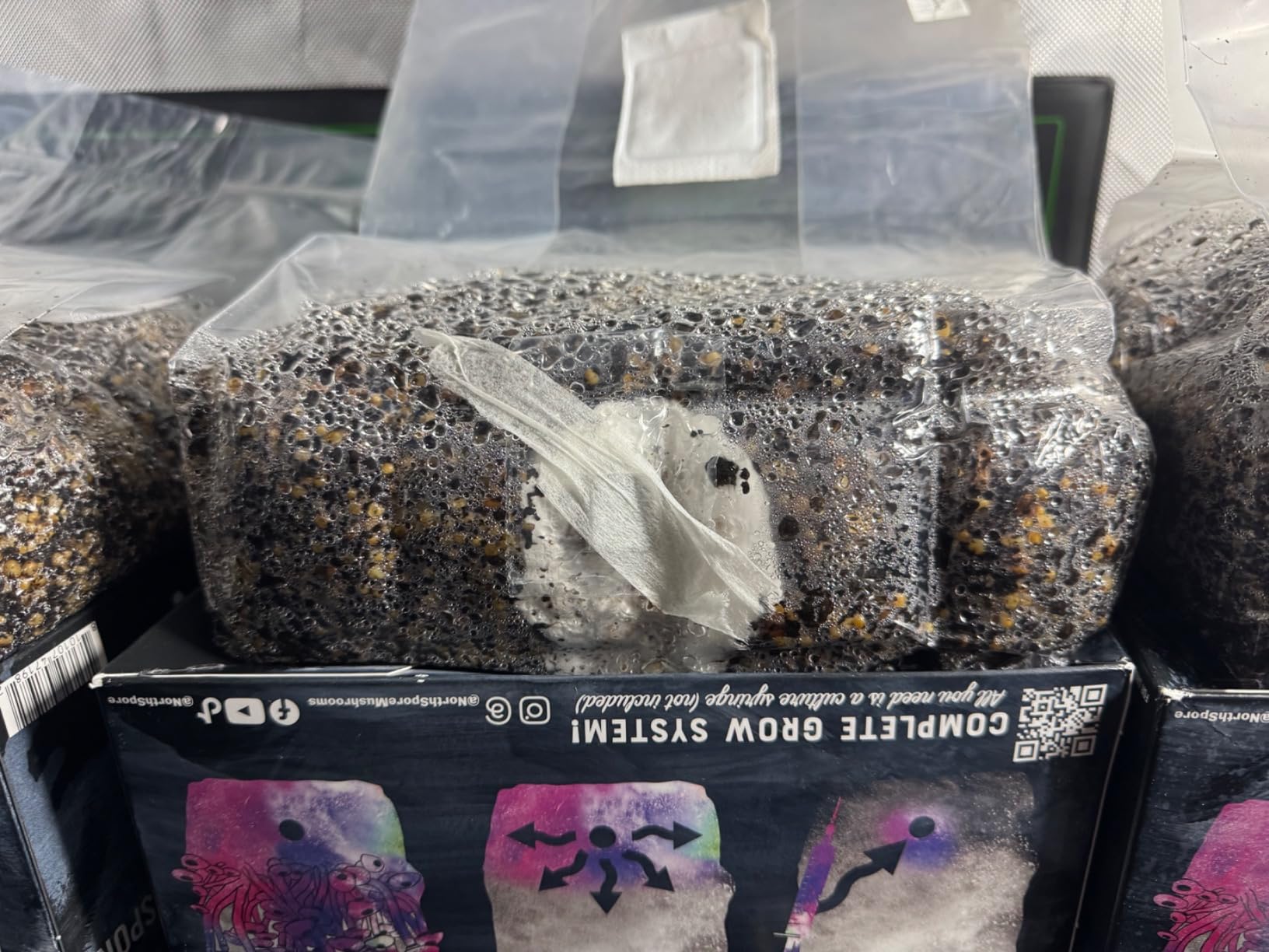 North Spore ShroomTek All-in-One Mushroom Grow Bag, 4lb customer photo 2
