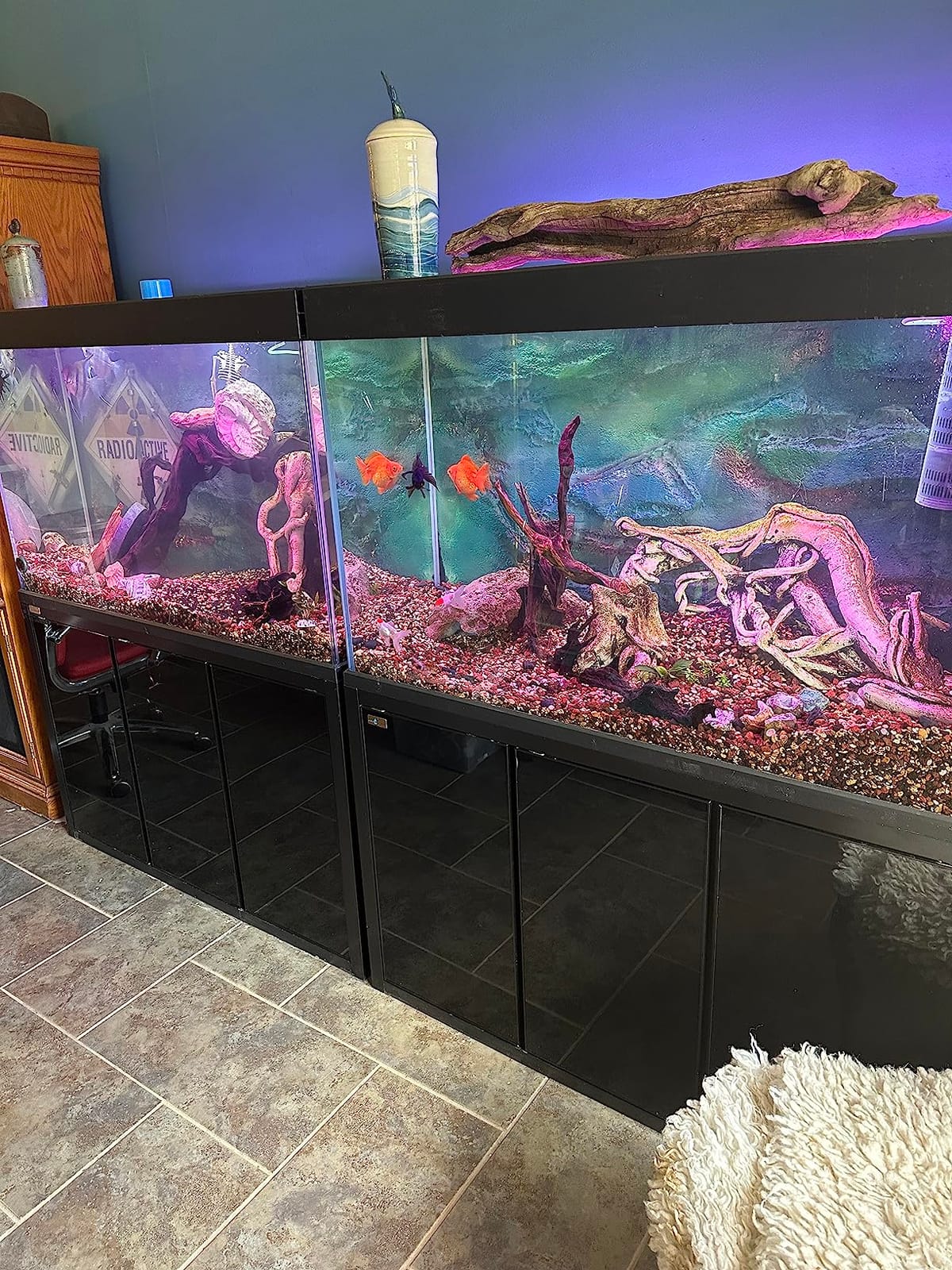 Aqua Dream 100 Gallon Freshwater Glass Aquarium with Aluminum Cabinet - All in One Fish Tank System with Sump Filtration Integrated Plumbing and LED Lighting in Black customer photo 1