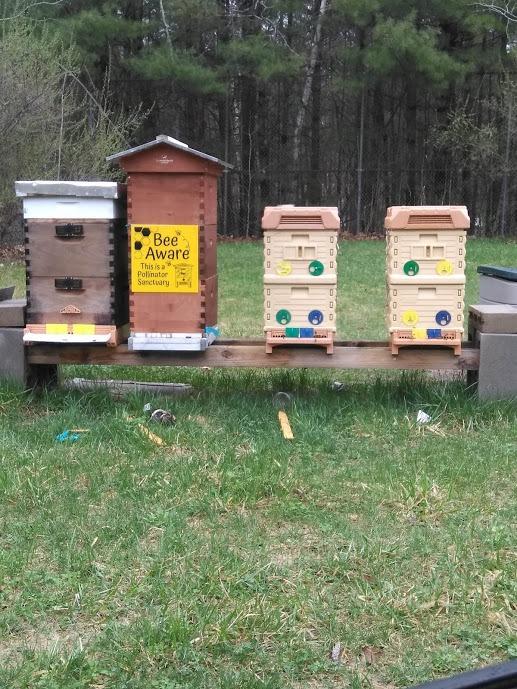 Apimaye Insulated 7 Frame NUC Assembled Deep Super Langstroth Sized Super for Bee Hives and Assembled Plastic PRO Frames with Premier Double Wax Coated Foundations (White) customer photo 1