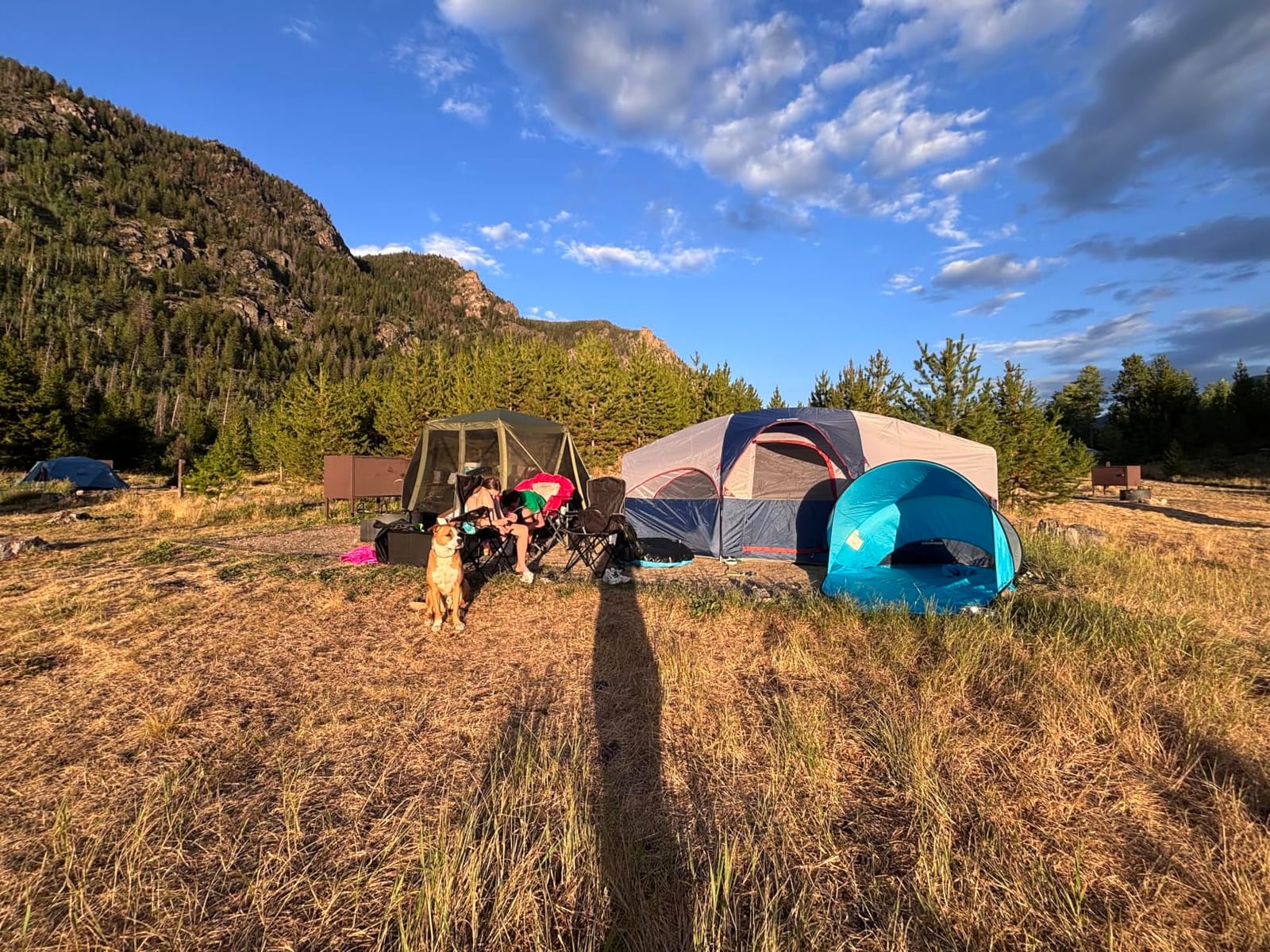 CAMPROS CP 8 Person Camping Tent, Room Divider, Rainfly, Weather Resistant customer photo 1
