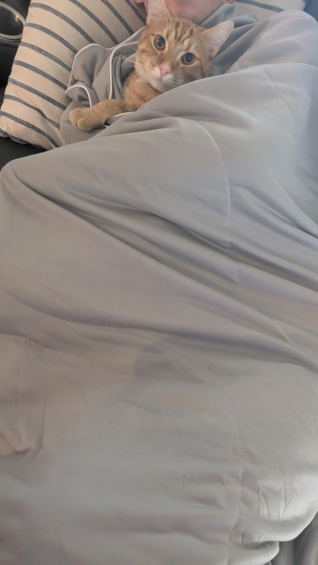 DOWNCOOL Cooling Comforter Queen Size,Grey Cooling Blanket for Hot Sleeper customer photo 2