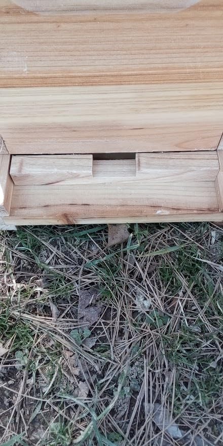 5 Frame Bee NUC Box Kit Beeswax Coated Includes Bee Hive Frames and Foundations (Unassembled) customer photo 2