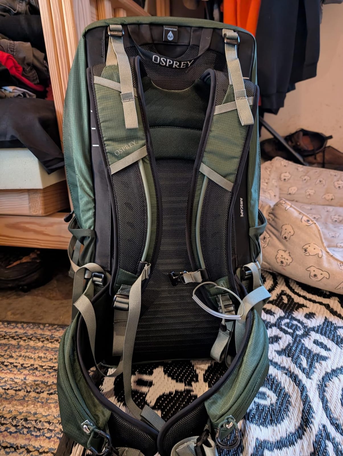 Osprey Talon 22L Men's Lightweight Hiking Backpack, Green OS customer photo 1