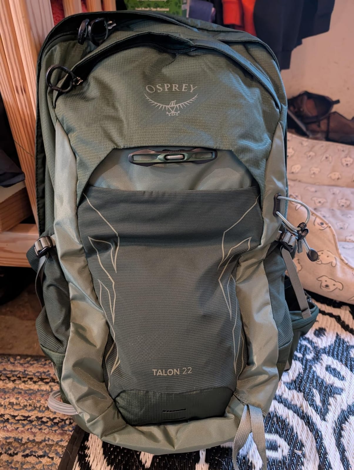 Osprey Talon 22L Men's Lightweight Hiking Backpack, Green OS customer photo 2