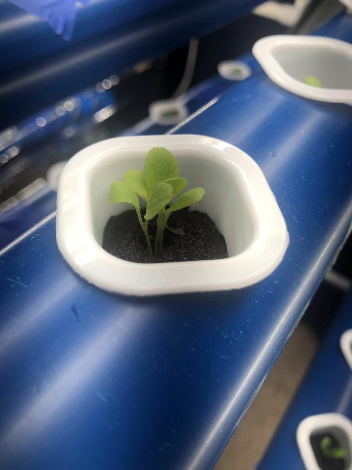 A-Type 72 Plant Sites Hydroponics Growing System Kit with Light Blocking customer photo 1