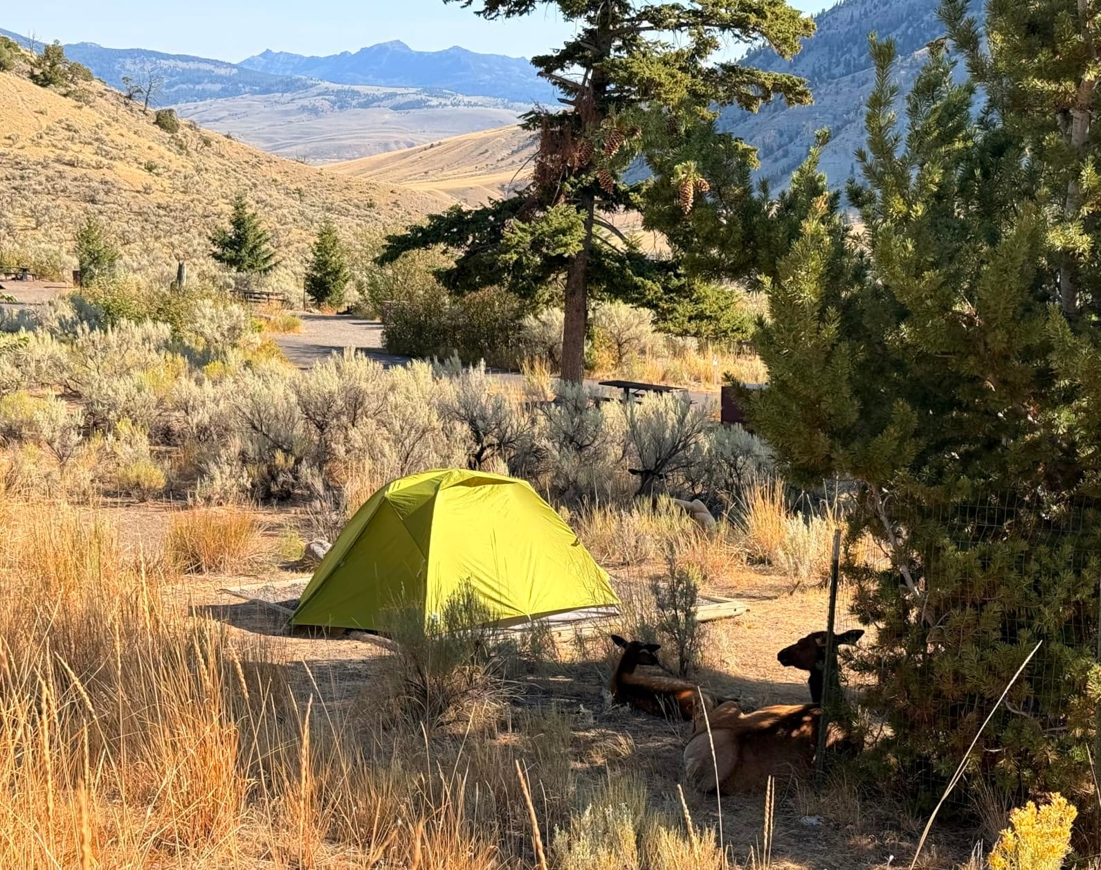 Big Agnes Blacktail & Blacktail Hotel Backpacking Tent customer photo 1