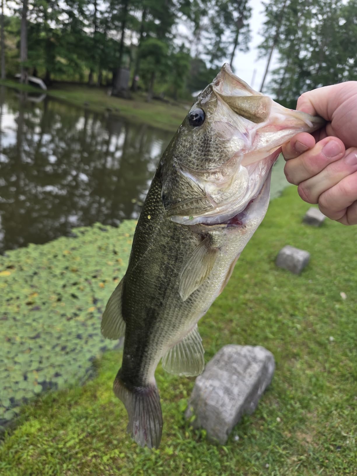 MadBite by KastKing Compact Fishing Tackle Kit for Bass Trout Panfish customer photo 1