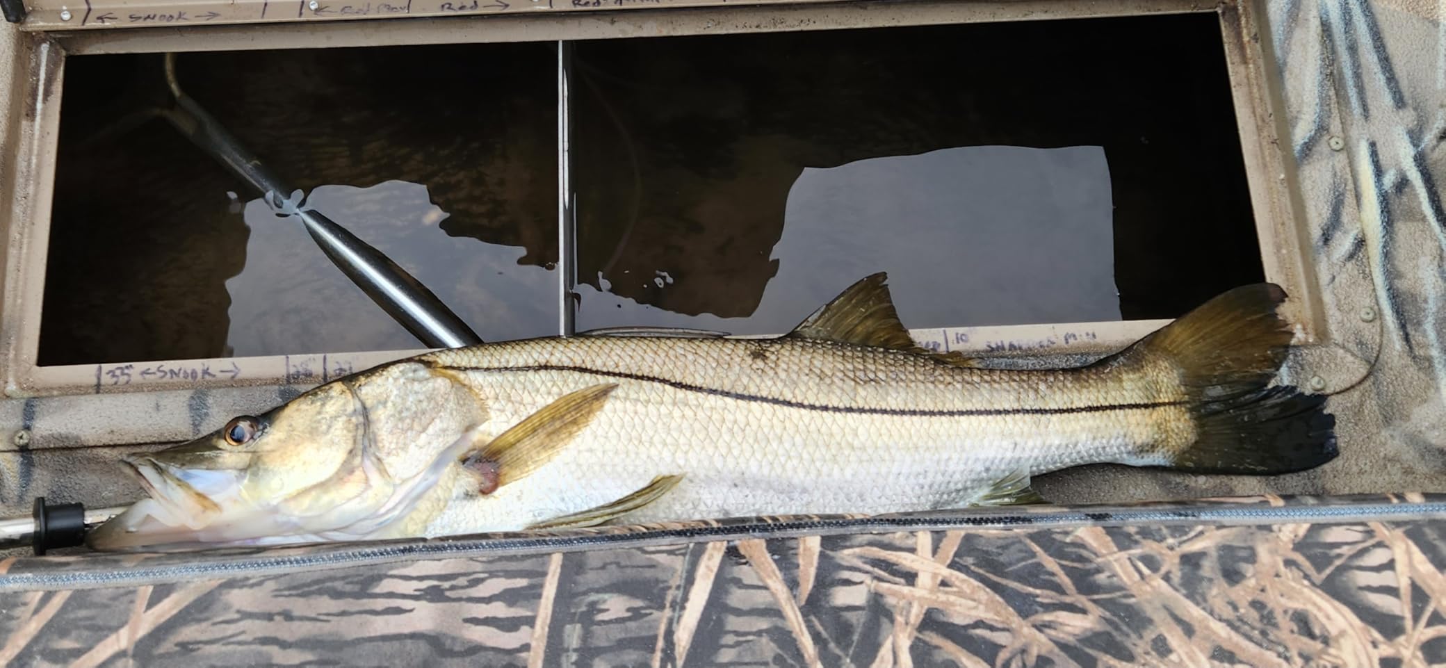 Bassdash SwimShad Glide Baits Jointed Swimbait Bass Pike Salmon Trout Muskie Fishing Lure customer photo 1