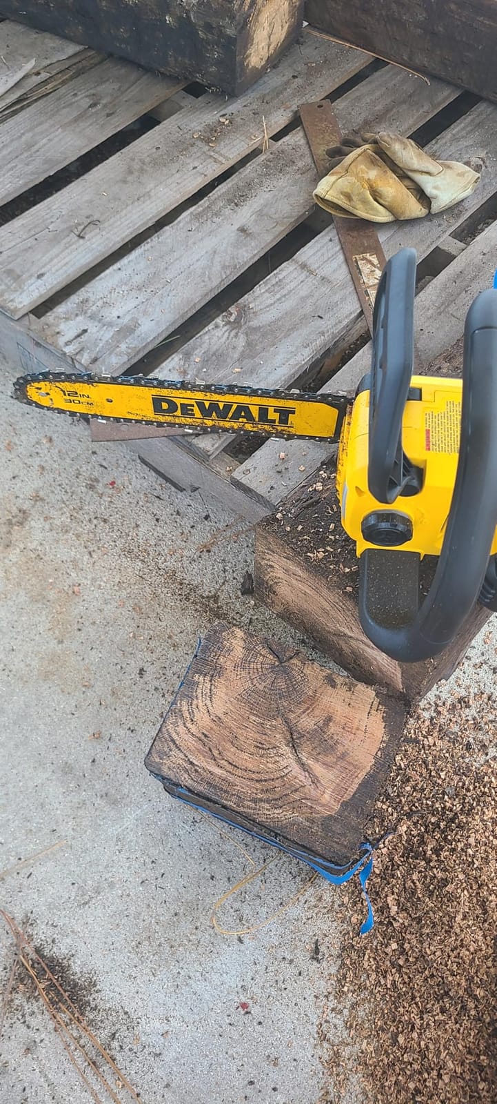 DEWALT 20V MAX 12 in. Cordless Chainsaw, Bare Tool Only (DCCS621B) customer photo 1