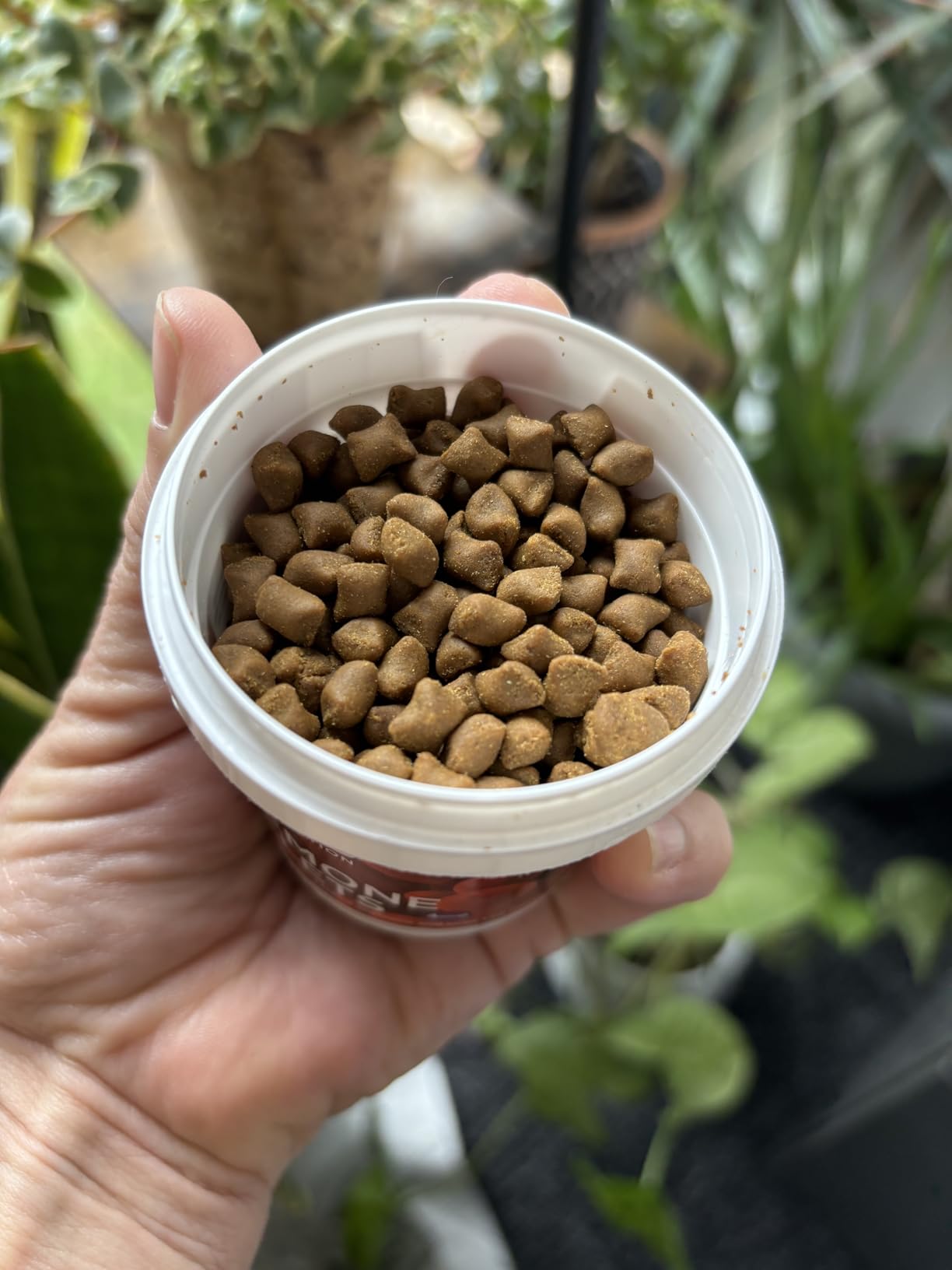 Vitalis Marine Anemone Pellets 4mm, 60g (3.52oz) - Premium Fish Food for Healthy Anemones and Marine Invertebrates in Saltwater Aquariums customer photo 1