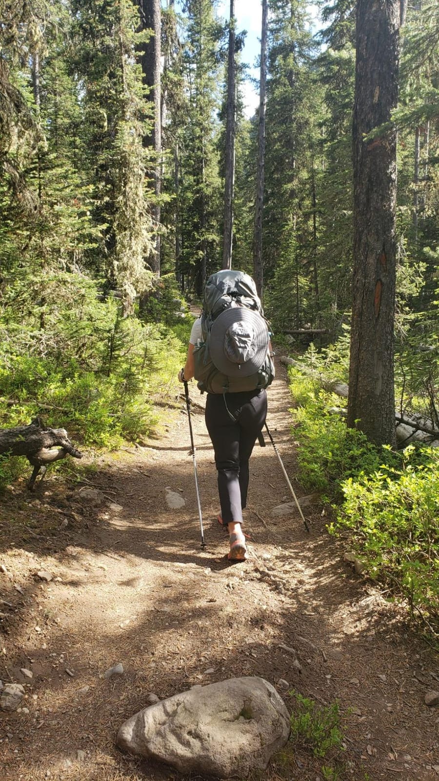 Gregory Maven 68L Women's Backpacking Pack, Small/Medium, Ocean Slate customer photo 2